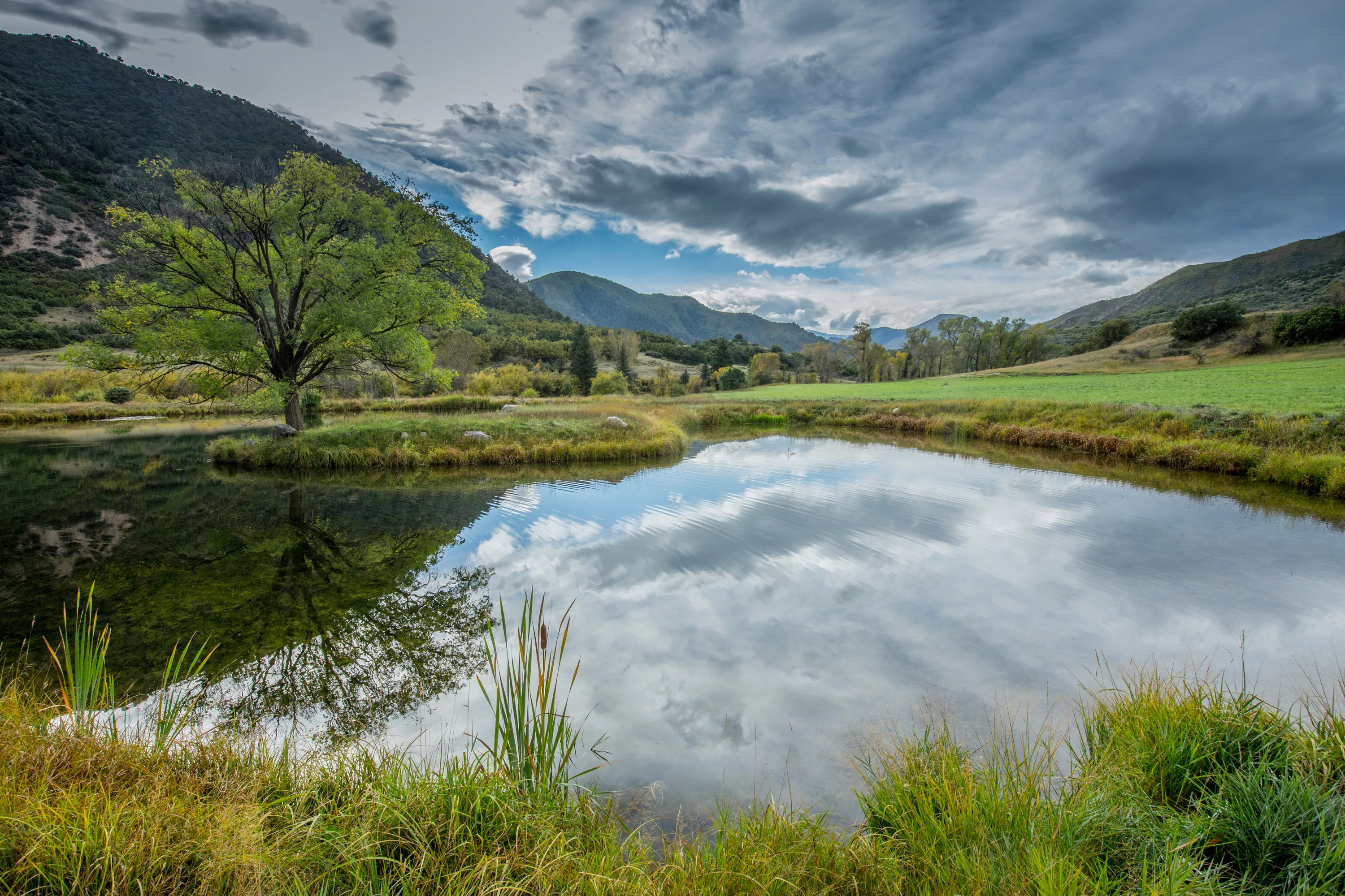 398 County Road 136, Aspen Area, Colorado 81601 - Inyanga_Ranch_Glenwood_Springs_CO_25_kav80x