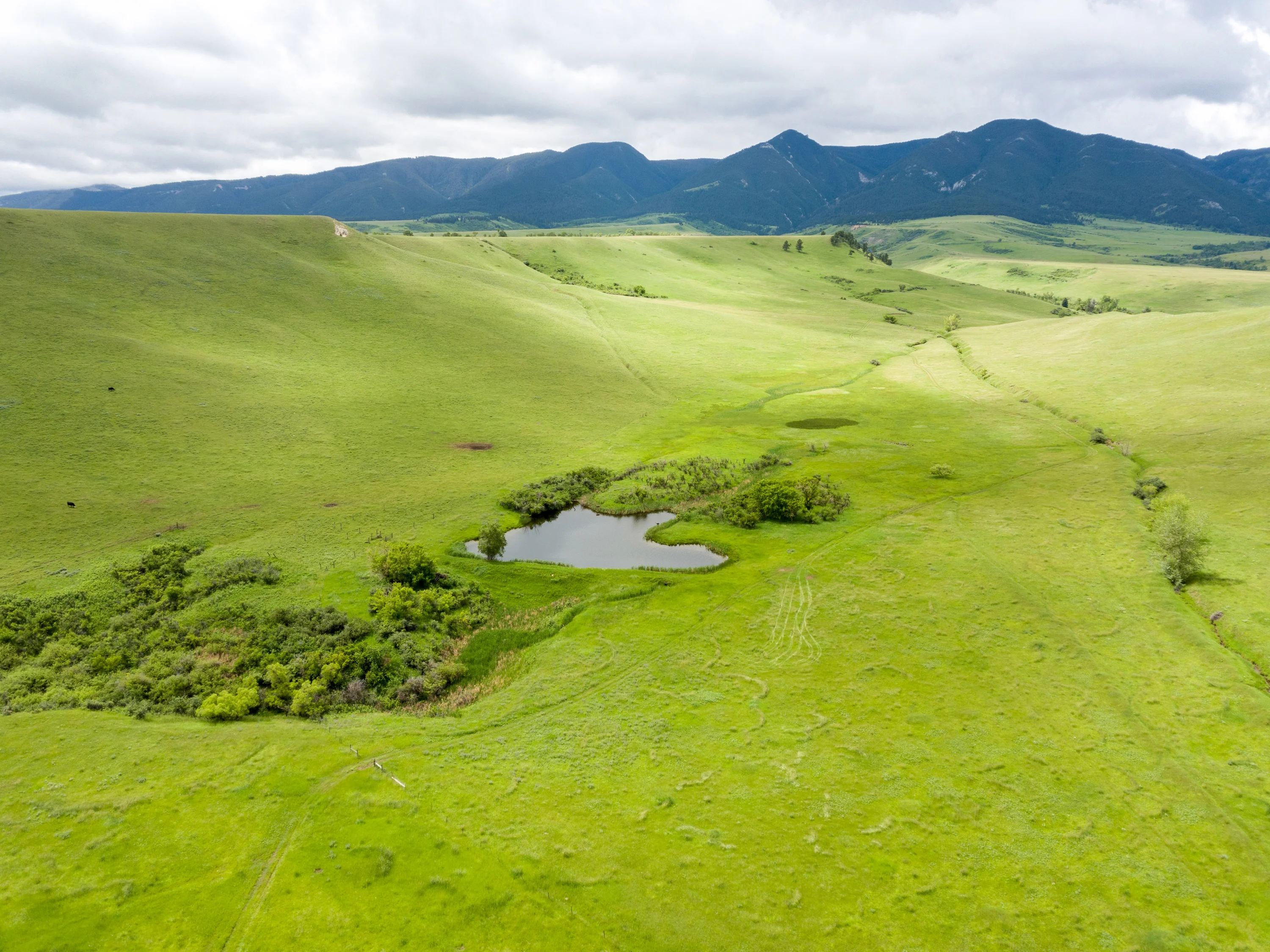 43 Rapid Creek Road, Sheridan, Wyoming 82801 - holy-cow-ranch-43-rapid-creek-road-sheridan-wyoming23_byrrtn