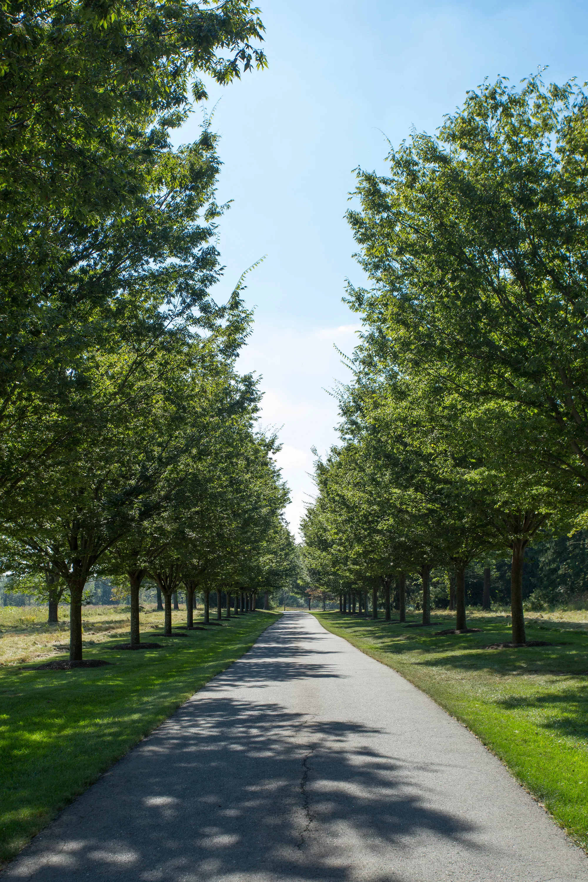 166 Cherry Hill Road, Princeton, New Jersey 08540 - tusculumdriveway-2_dy0t48