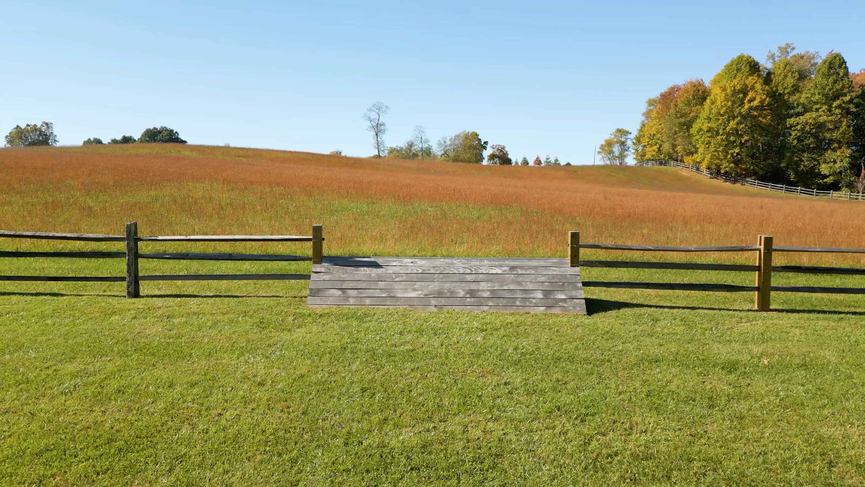 Oakendale Farm, 2227 Penny Lane, Middleburg Hunt Country, The Plains, Virginia 20198 - 2227_Penny_Lane_46_oe7z8w