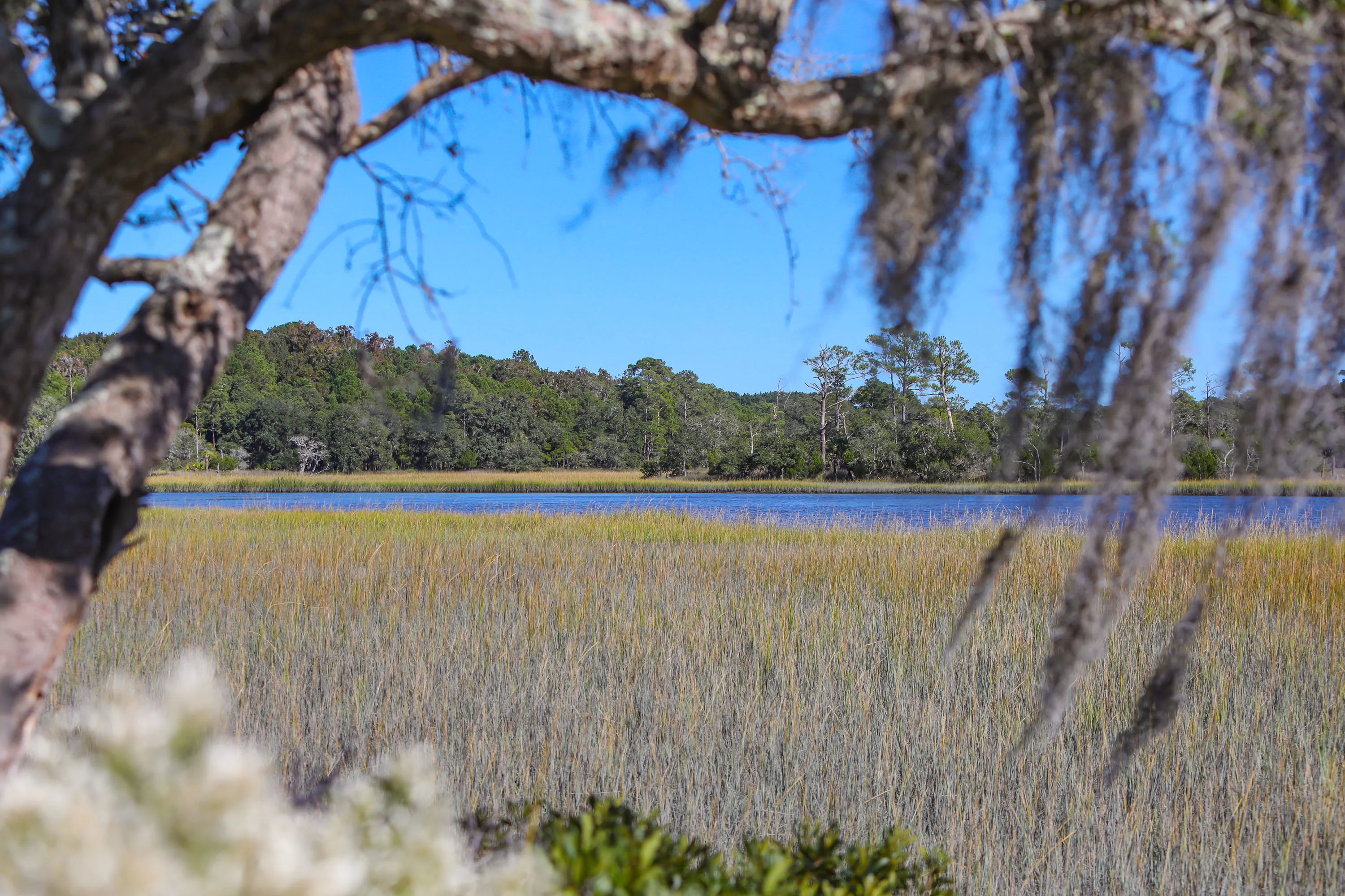 4458 Park Island Road, Charleston, South Carolina 29449 - 4458-park-island-road-meggett-south-carolina54_jfygwn