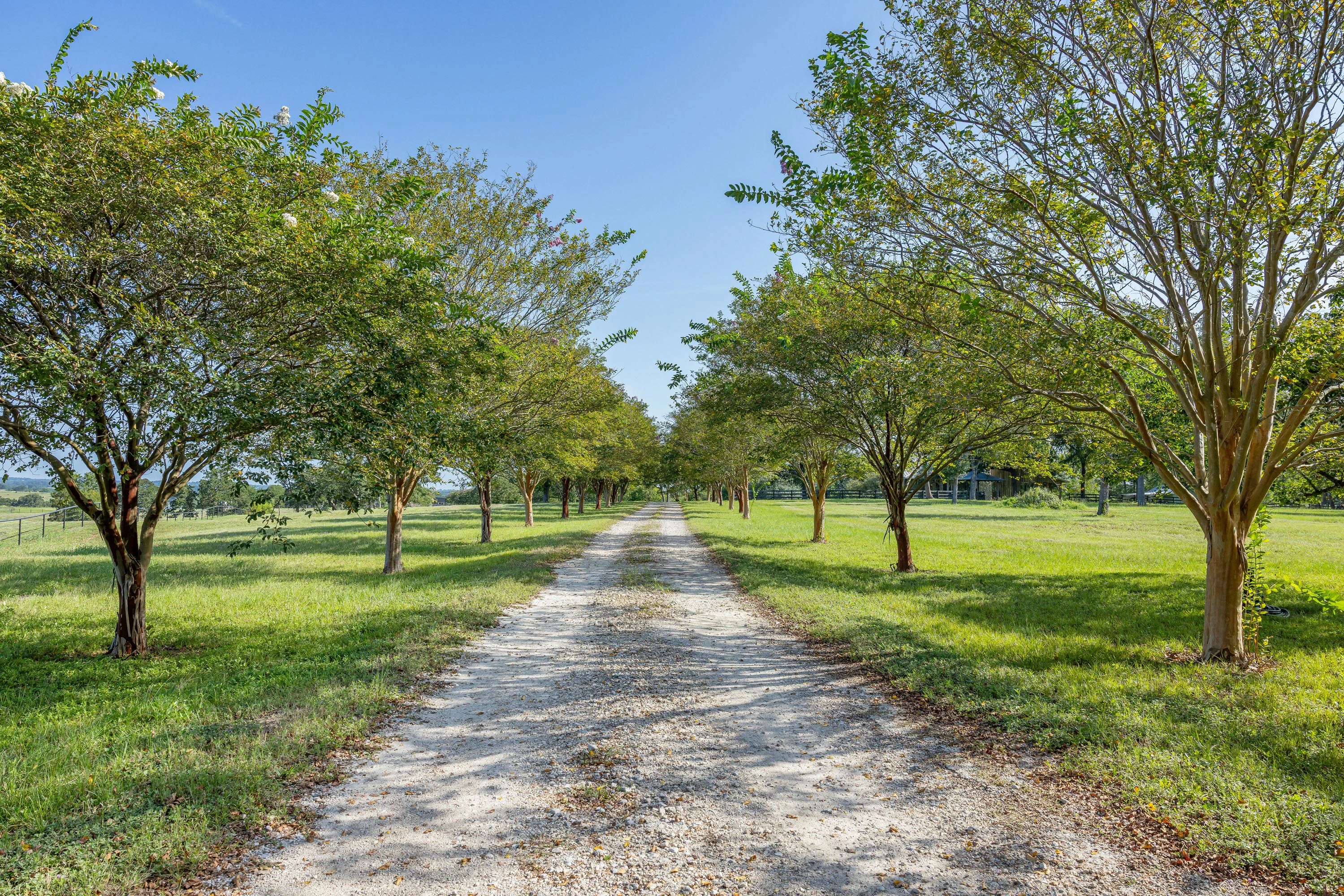 02 5107 Bovista Ranch Rd - Luxury Real Estate - Concierge Auctions