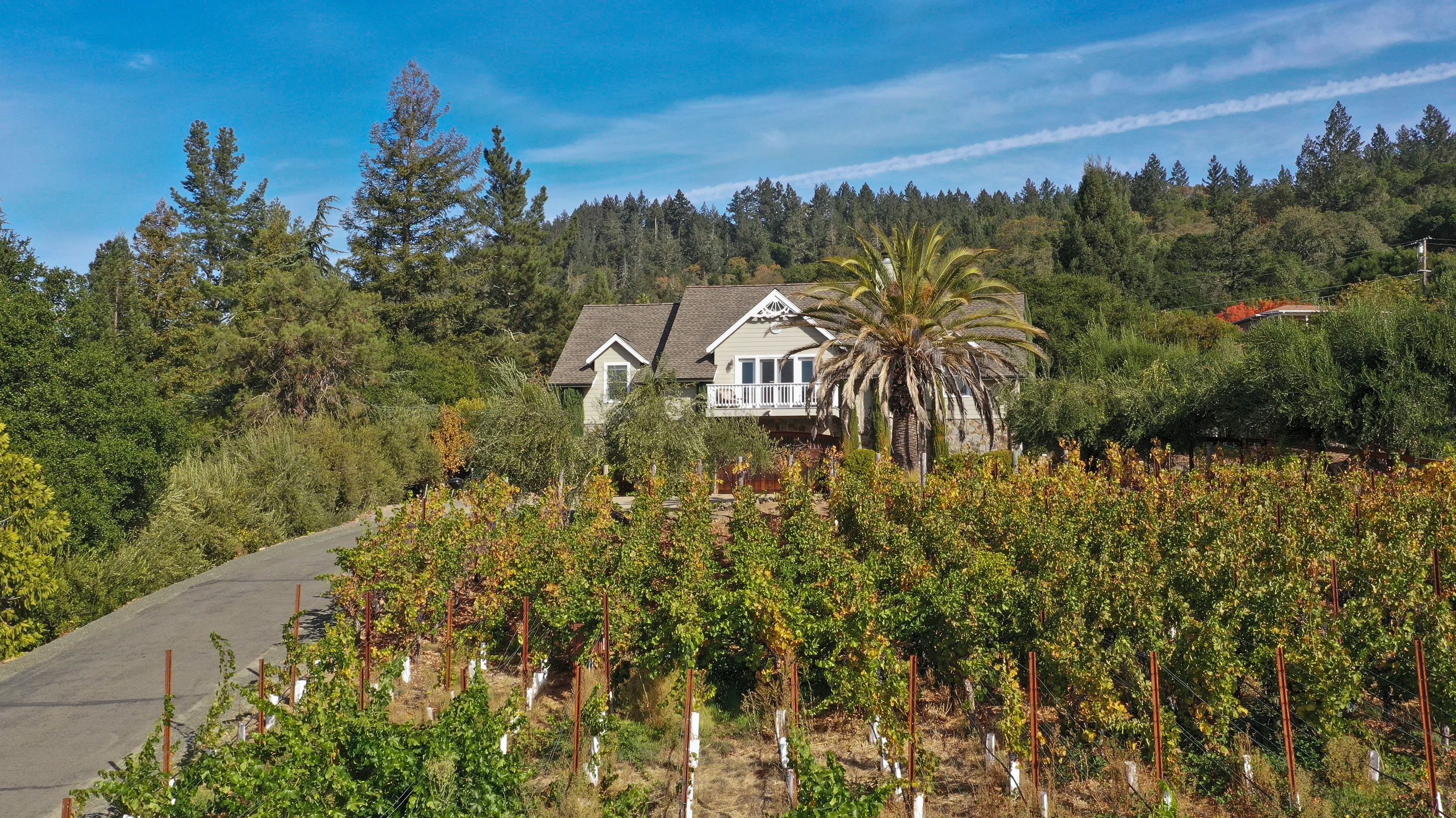 2618 & 2620 Silverado Trail North, Saint Helena, California 94574 - St-Hel-CA01_uuhgqe