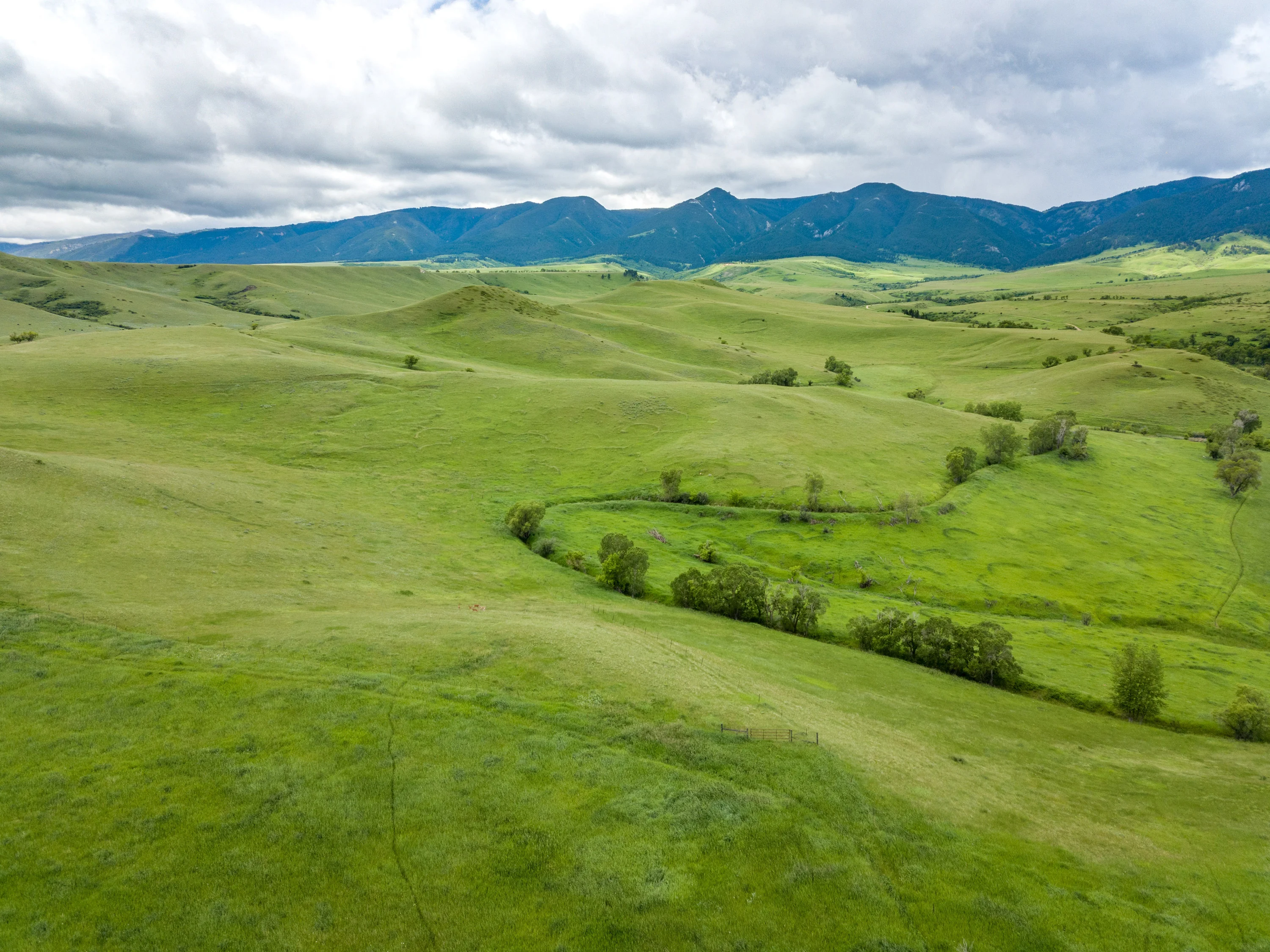 43 Rapid Creek Road, Sheridan, Wyoming 82801 - holy-cow-ranch-43-rapid-creek-road-sheridan-wyoming19_zxnlec