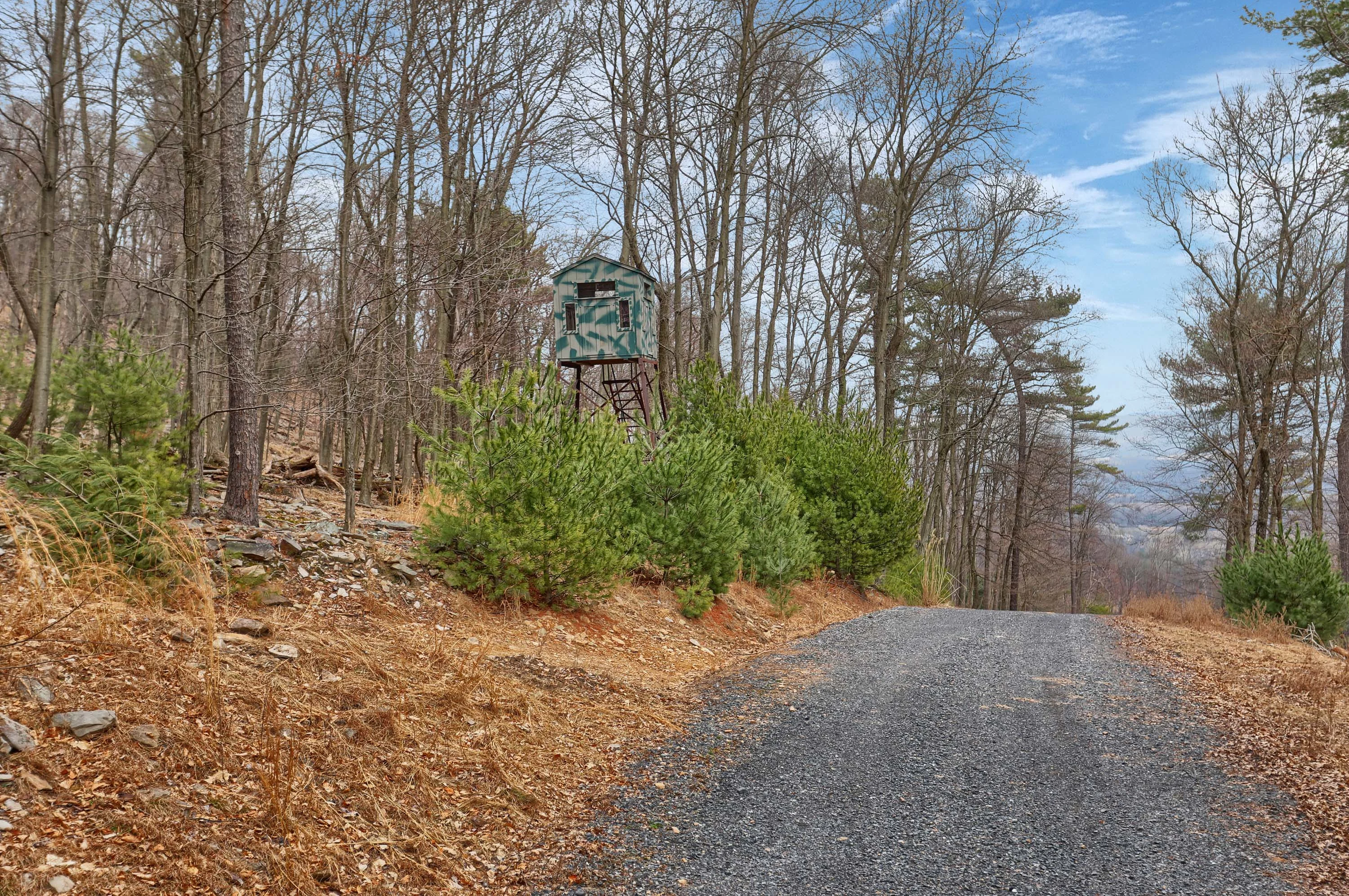 1981 Luxemburg Road, Lykens, Pennsylvania 17048 - 1981-luxemburg-road-lykens-pennsylvania36_qlawqx