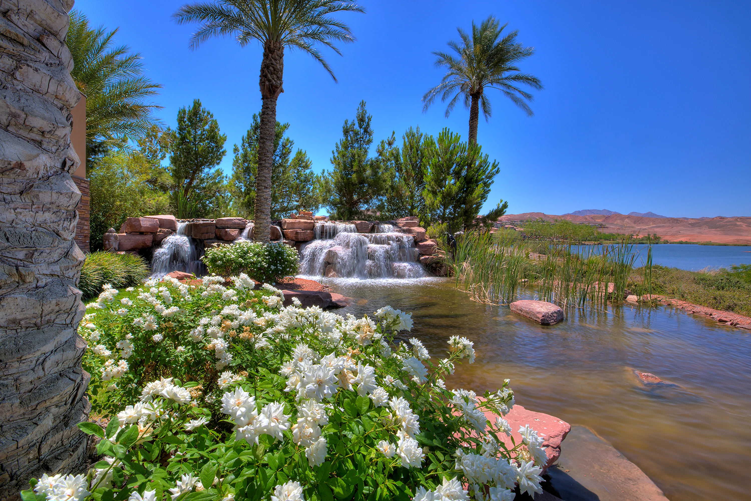 43 Rue Mediterra Drive, Lake Las Vegas, Nevada  - 43-rue-mediterra-drive-henderson-nevada21_ahjzlg