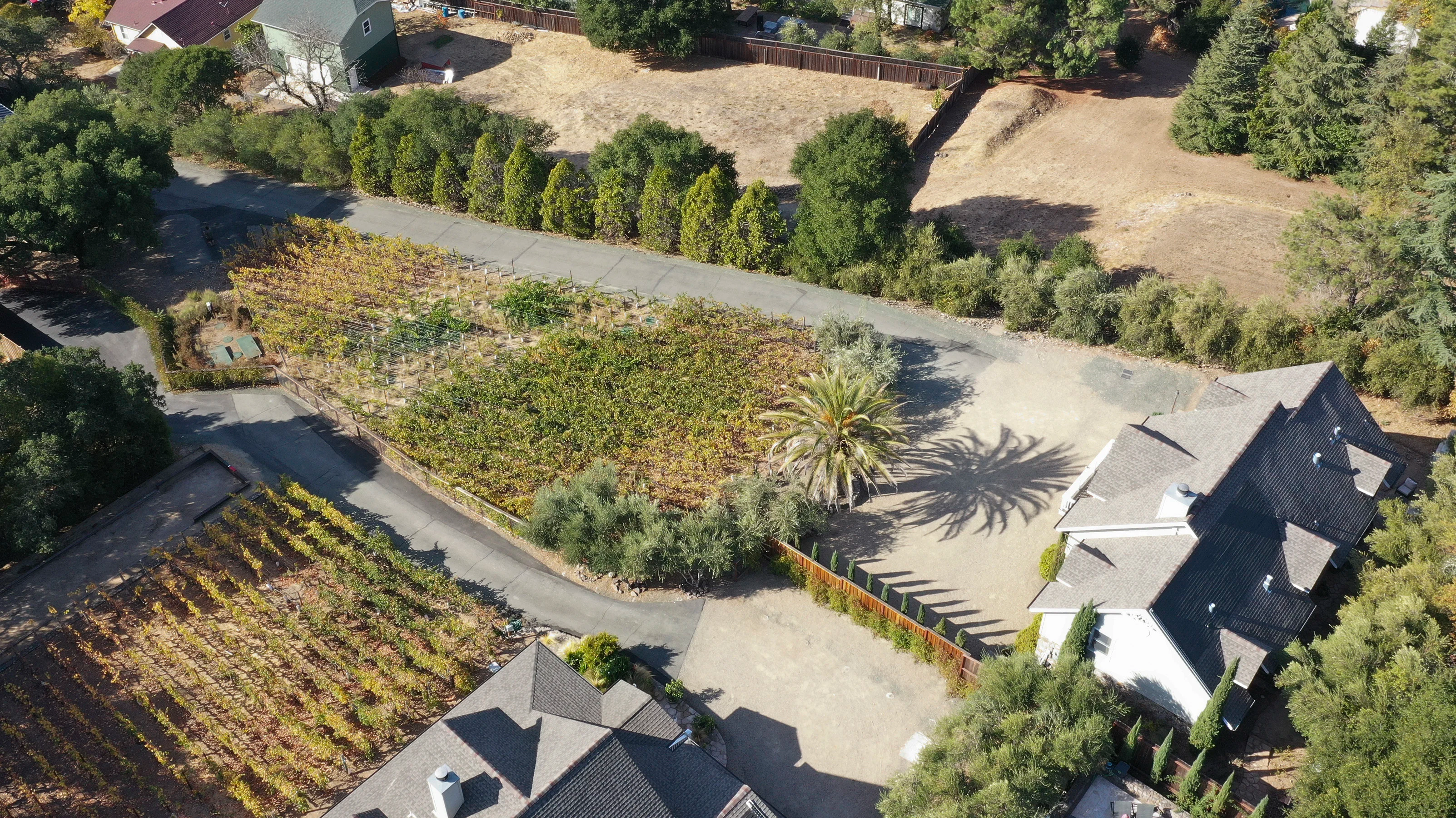 2618 & 2620 Silverado Trail North, Saint Helena, California 94574 - St-Hel-CA06_hrzg2r