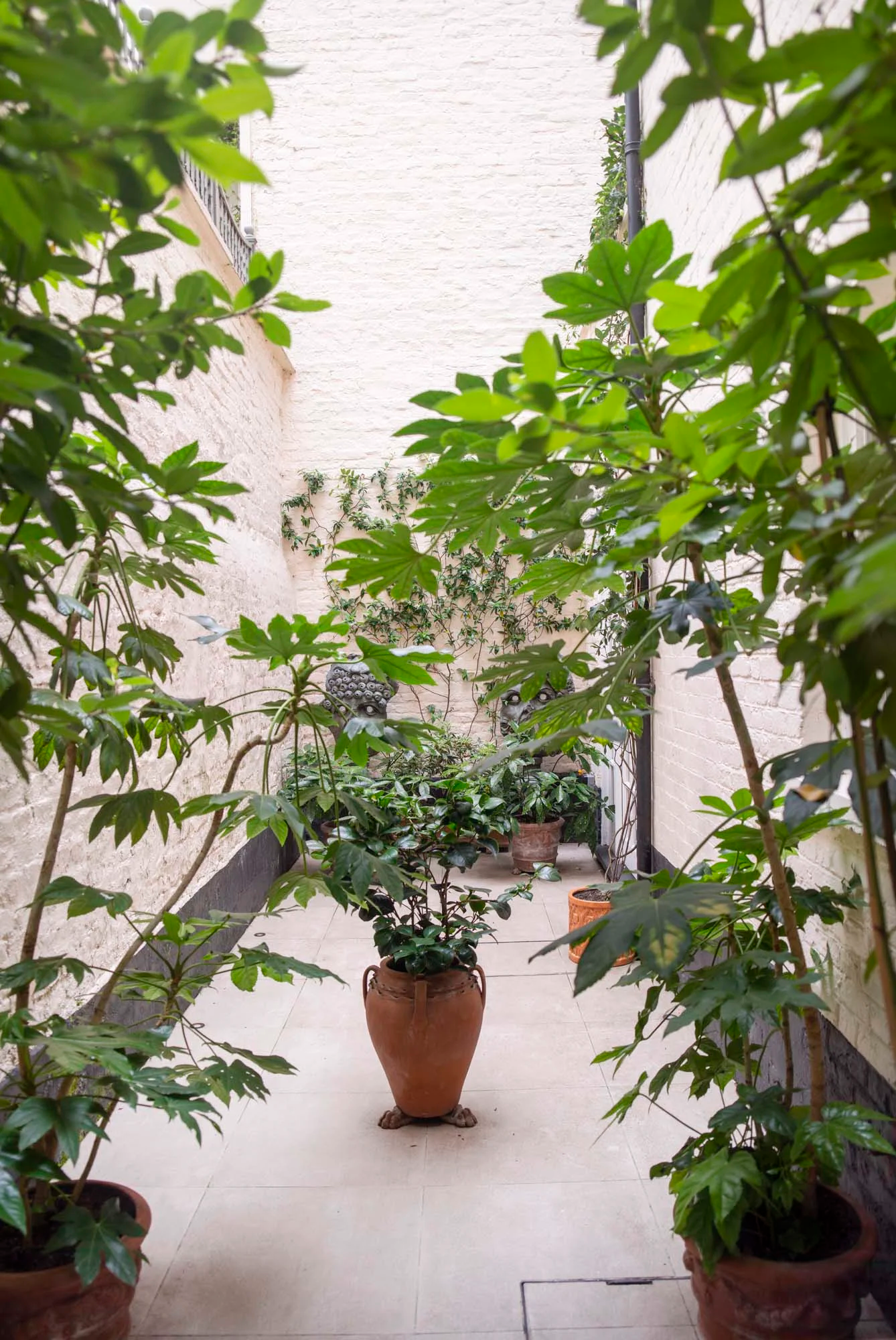 7 Chester Street, Belgravia, London, England SW1X 7BB, United Kingdom - 18_7_Chester_Street_dhhi2j