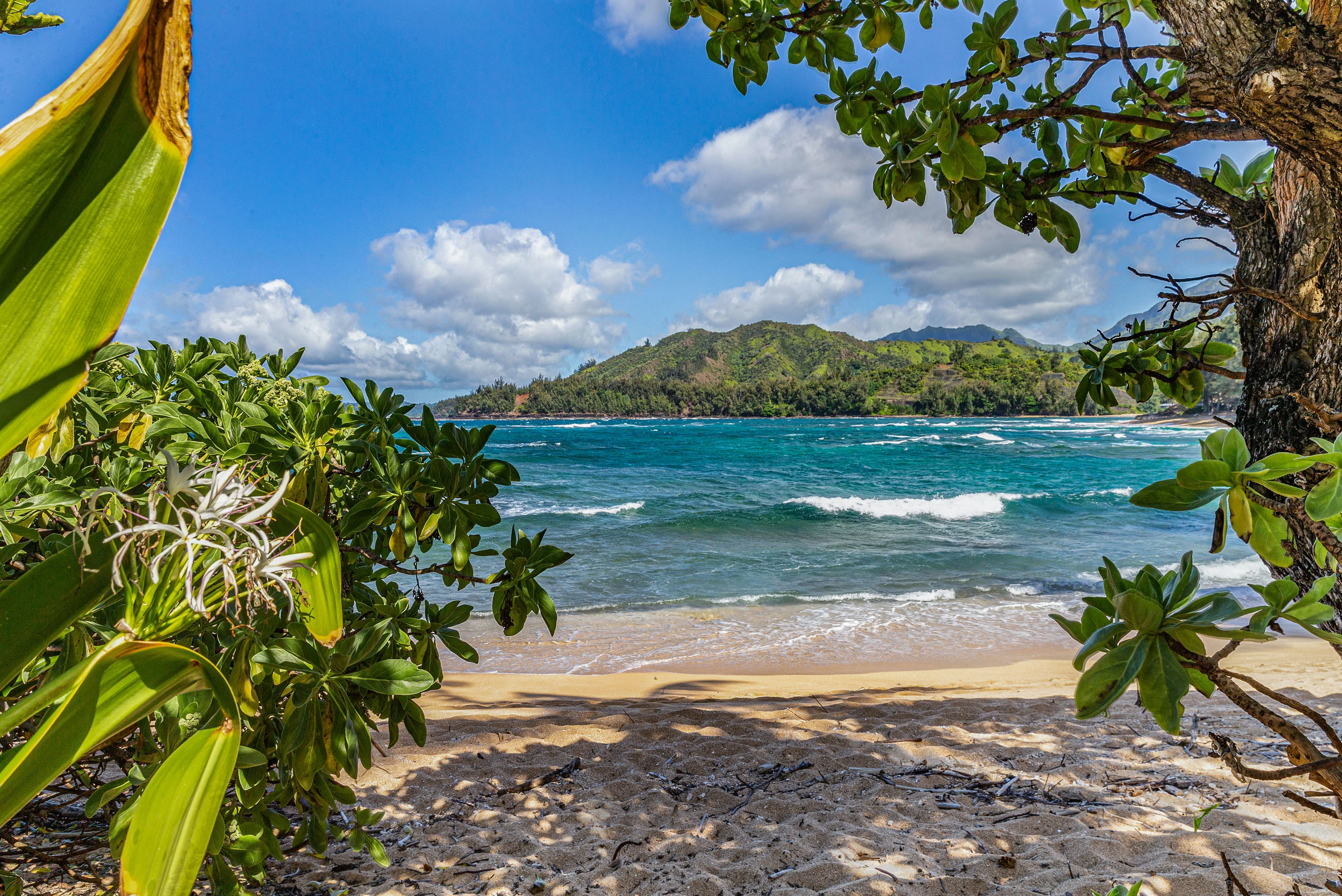 5-7094 Kuhio Highway, Hanalei, Kauai, Hawaii 96714 - 5-7094_Kuhio_Hwy_24_tfni1h