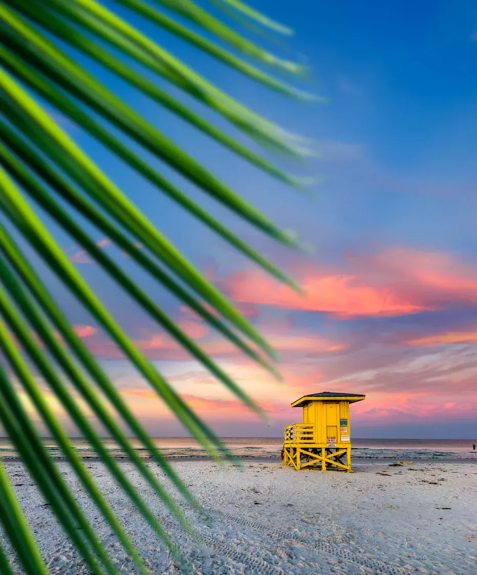 Florida: Beat the Winter Season Sale | Online Auction