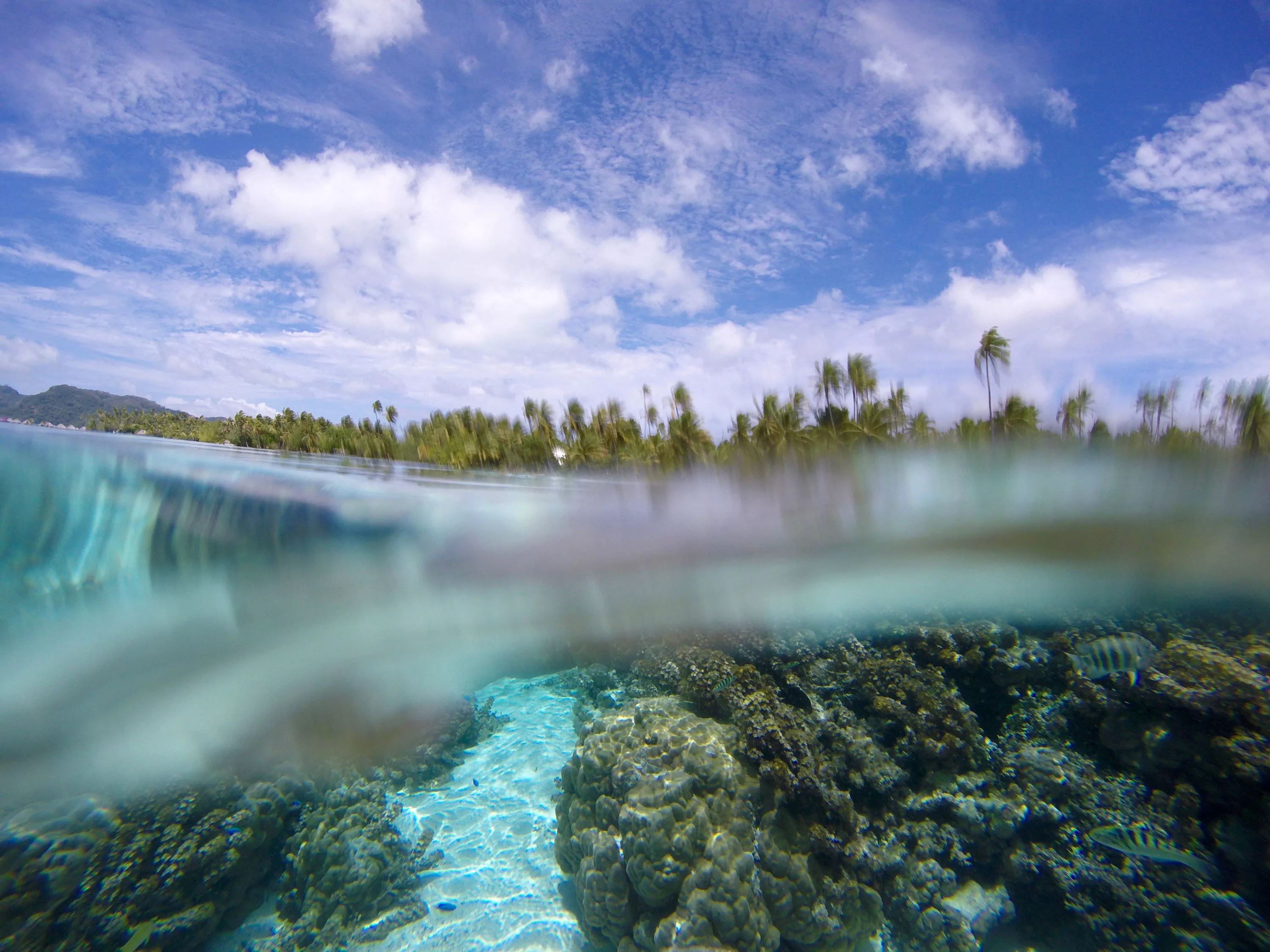 Motu Tiano, Tahiti,  , French Polynesia - motu_tiano_french_polynesia_28_hlgogp