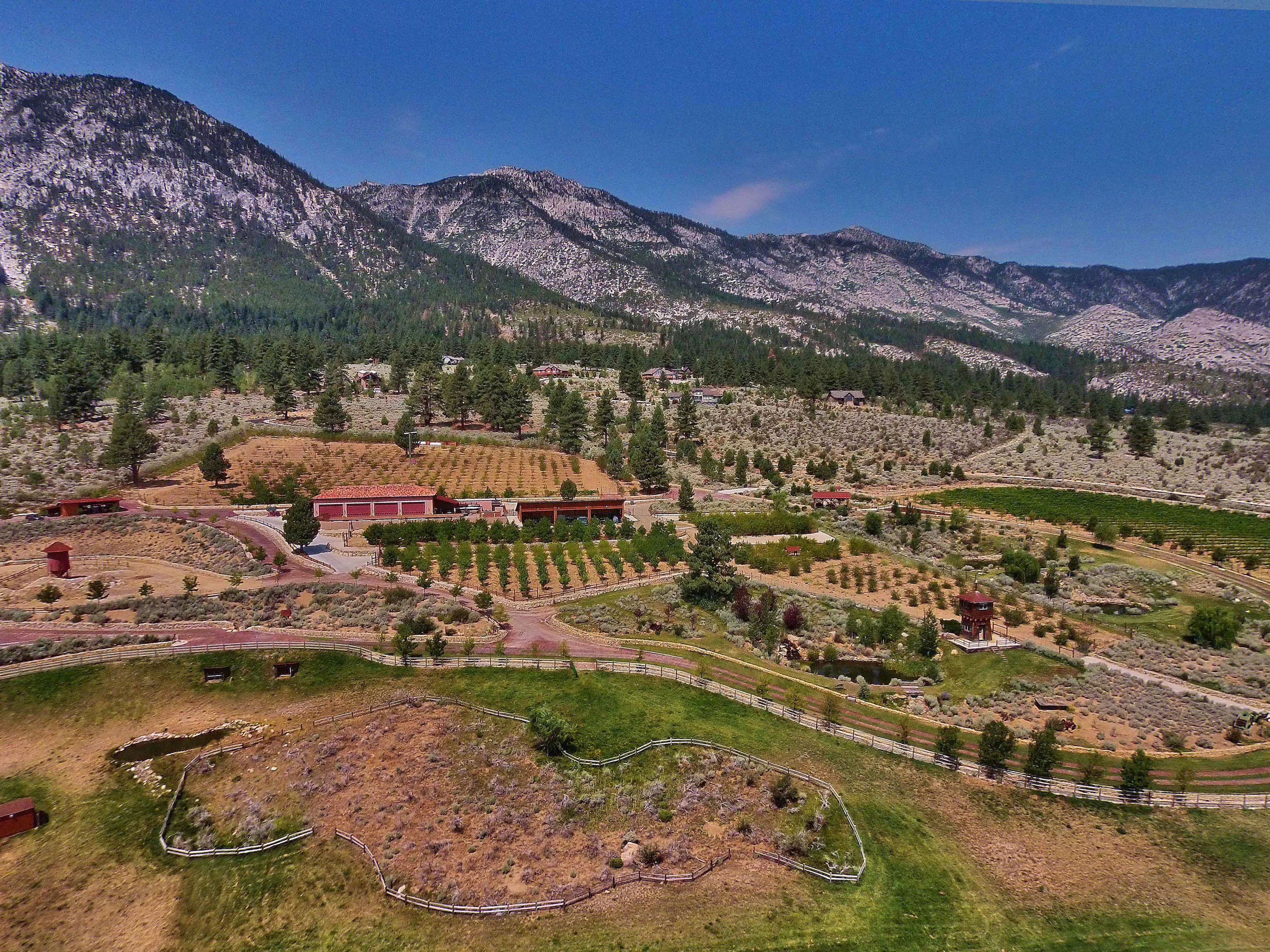 301 Five Creek Road, Near Lake Tahoe, Nevada 89460 - 301-five-creek-road-gardnerville-nevada-32_ht6lsh