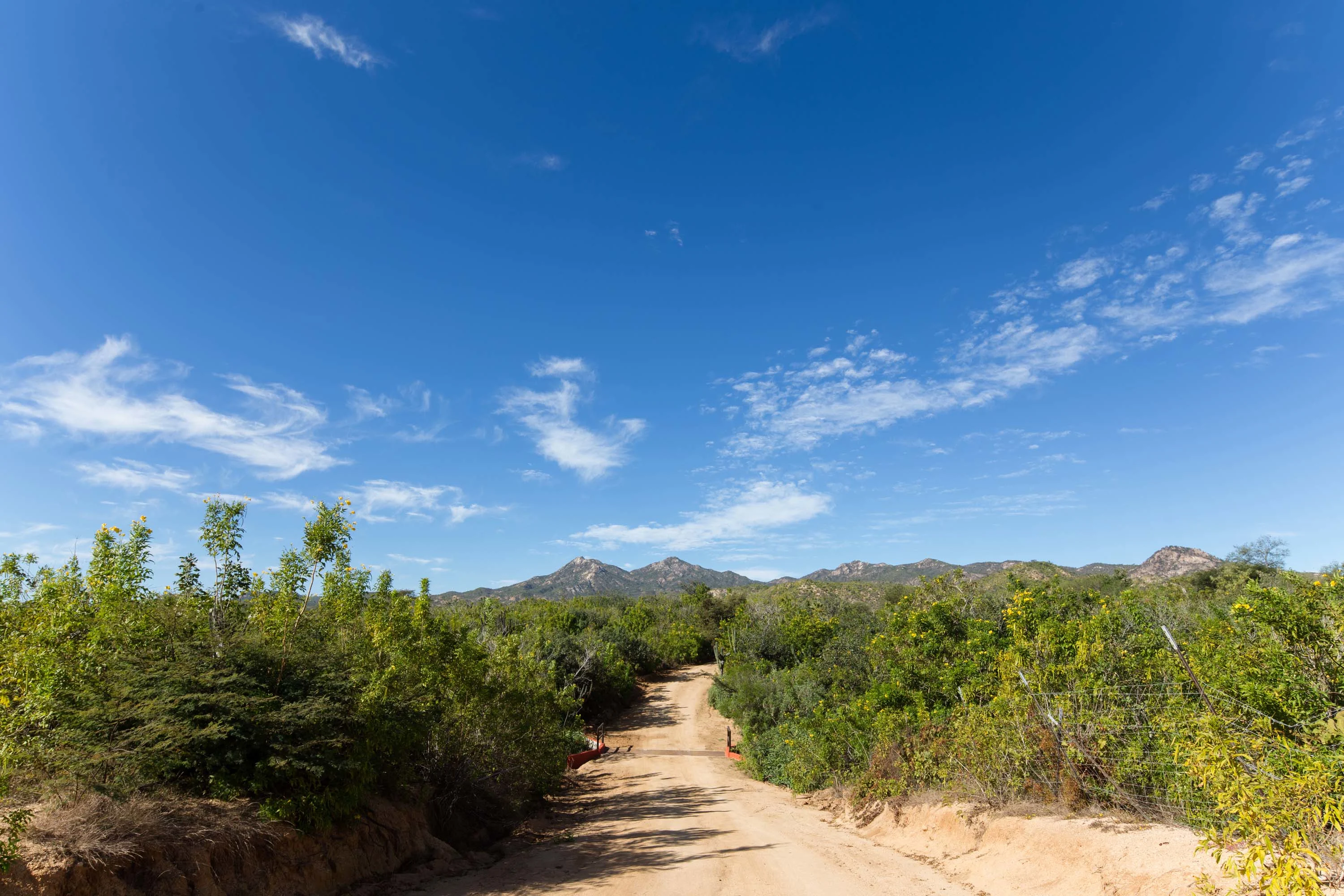 Rancho Espiritu, Los Cabos, Baja California Sur , Mexico - rancho-espiritu-los-cabos-mexico04_leebyf