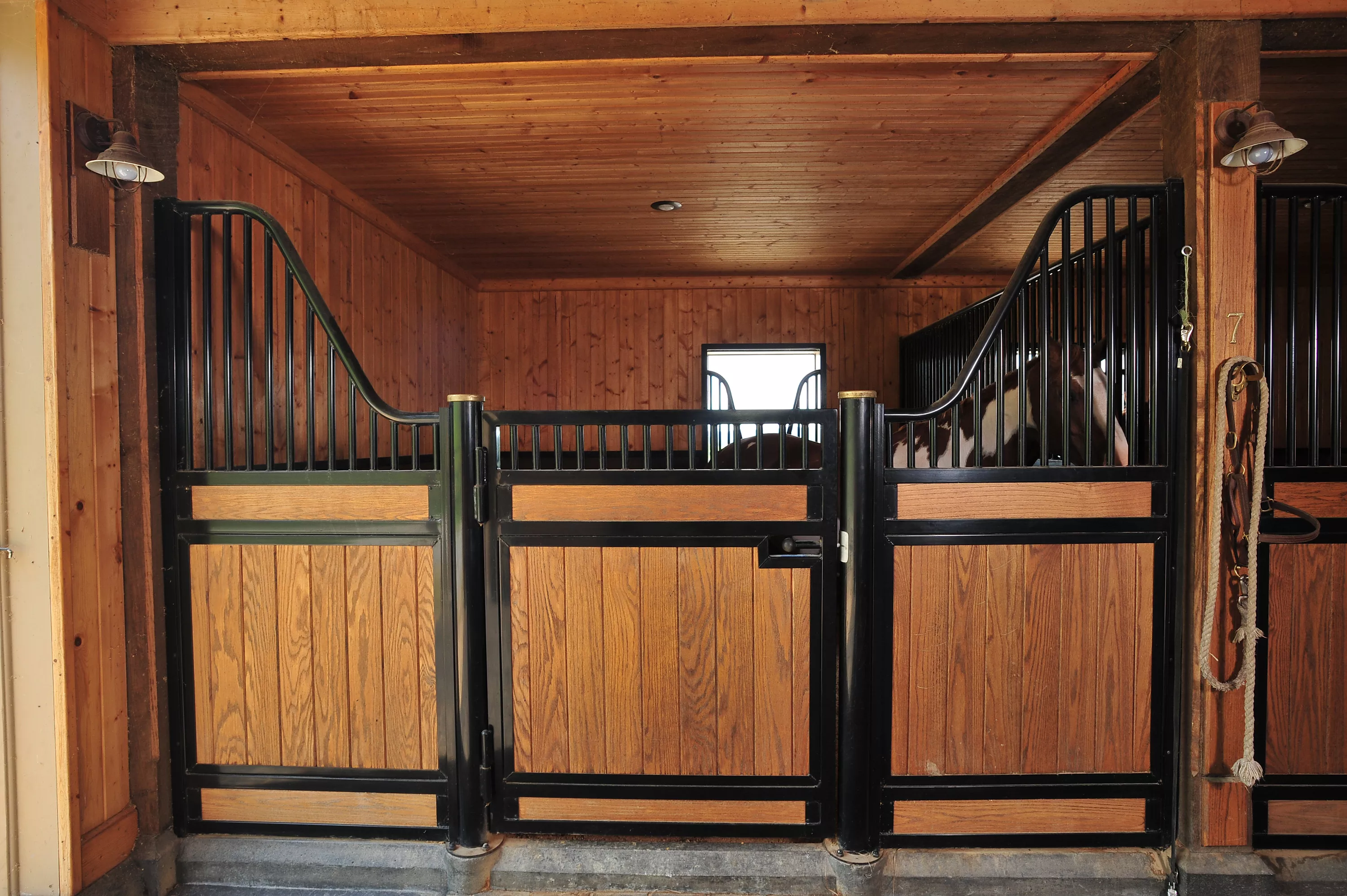 16308 Old Jonesboro Road, Bristol, Virginia 24202 - rolf-carlyle-equestrian-centre-bristol-va-luxury-real-estate-8_carjqp