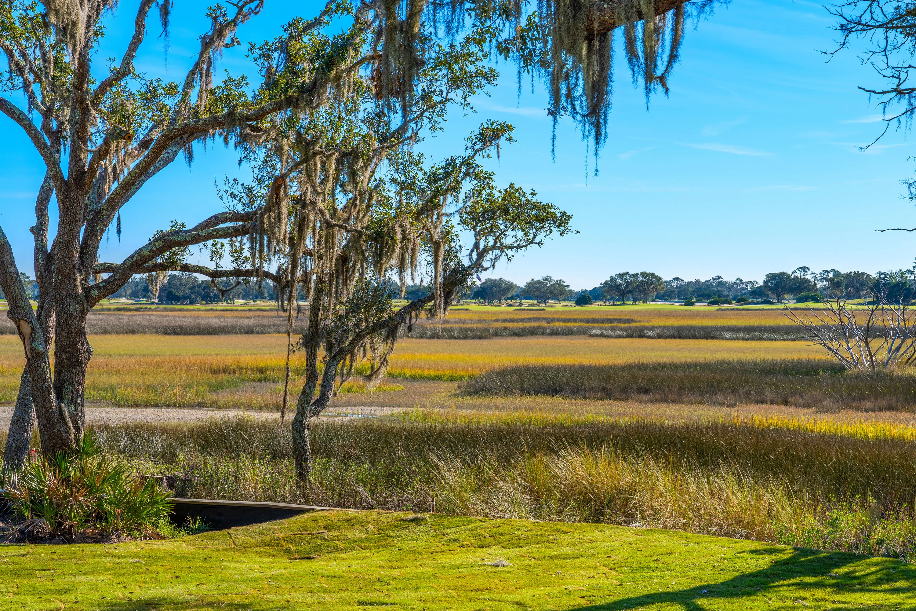 144 Point Lane, Saint Simons, Near Sea Island, Georgia 31522 - 144-point-lane-saint-simons-georgia40_l415zw