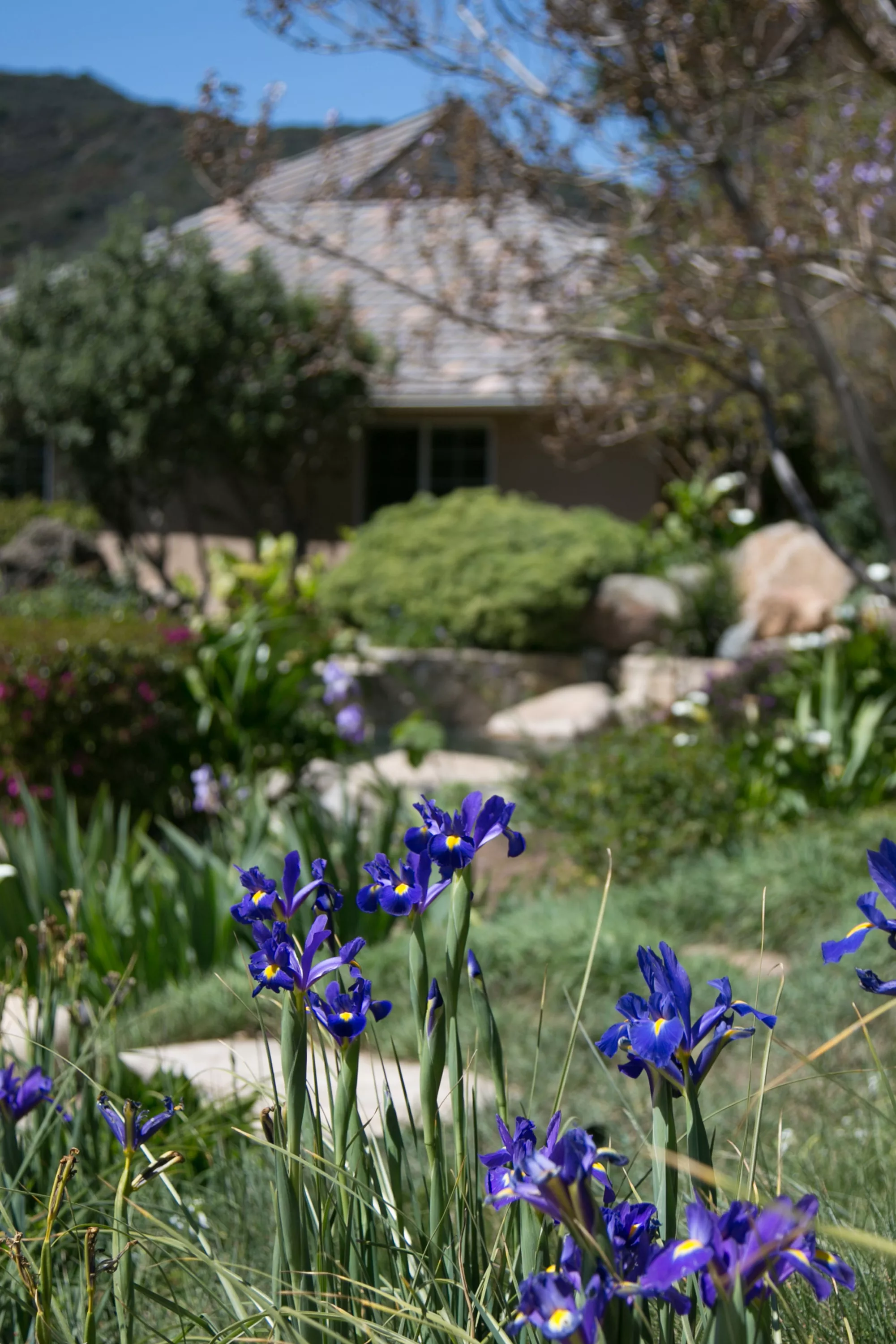 3100 Mandeville Canyon Road, Los Angeles, California 90049 - amber-hills-3100-mandeville-canyon-los-angeles-ca-luxury-real-estate-4_vnkm3s