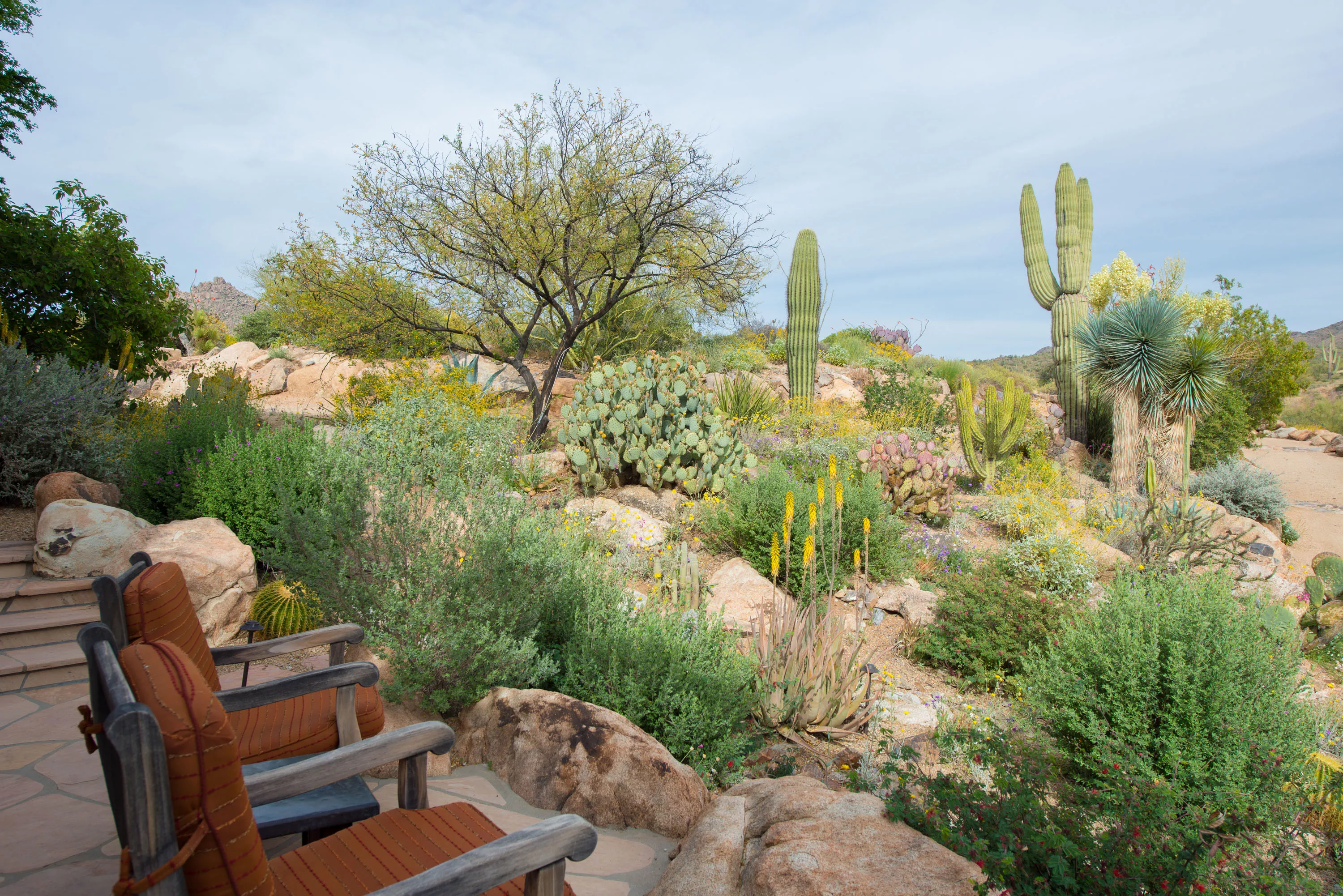 10343 East Pinnacle Peak Road, Scottsdale, Arizona 85255 - 10343-east-pinnacle-peak-scottsdale-arizona34-10-15-07-077_dyythk