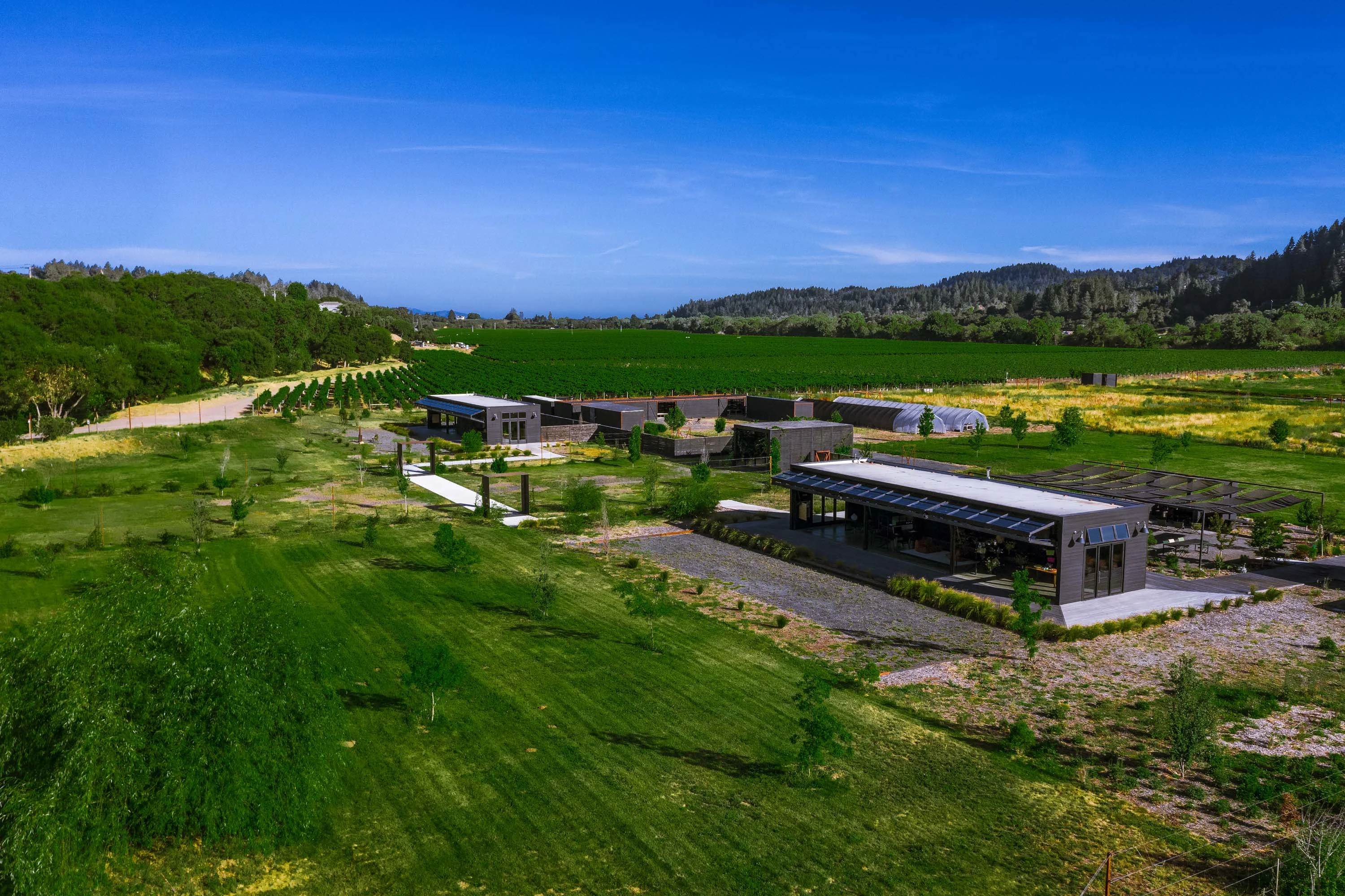 2836 Dry Creek Road, Sonoma County, California 95448 - 2836-dry-creek-road-healdsburg-california58_s59lz9