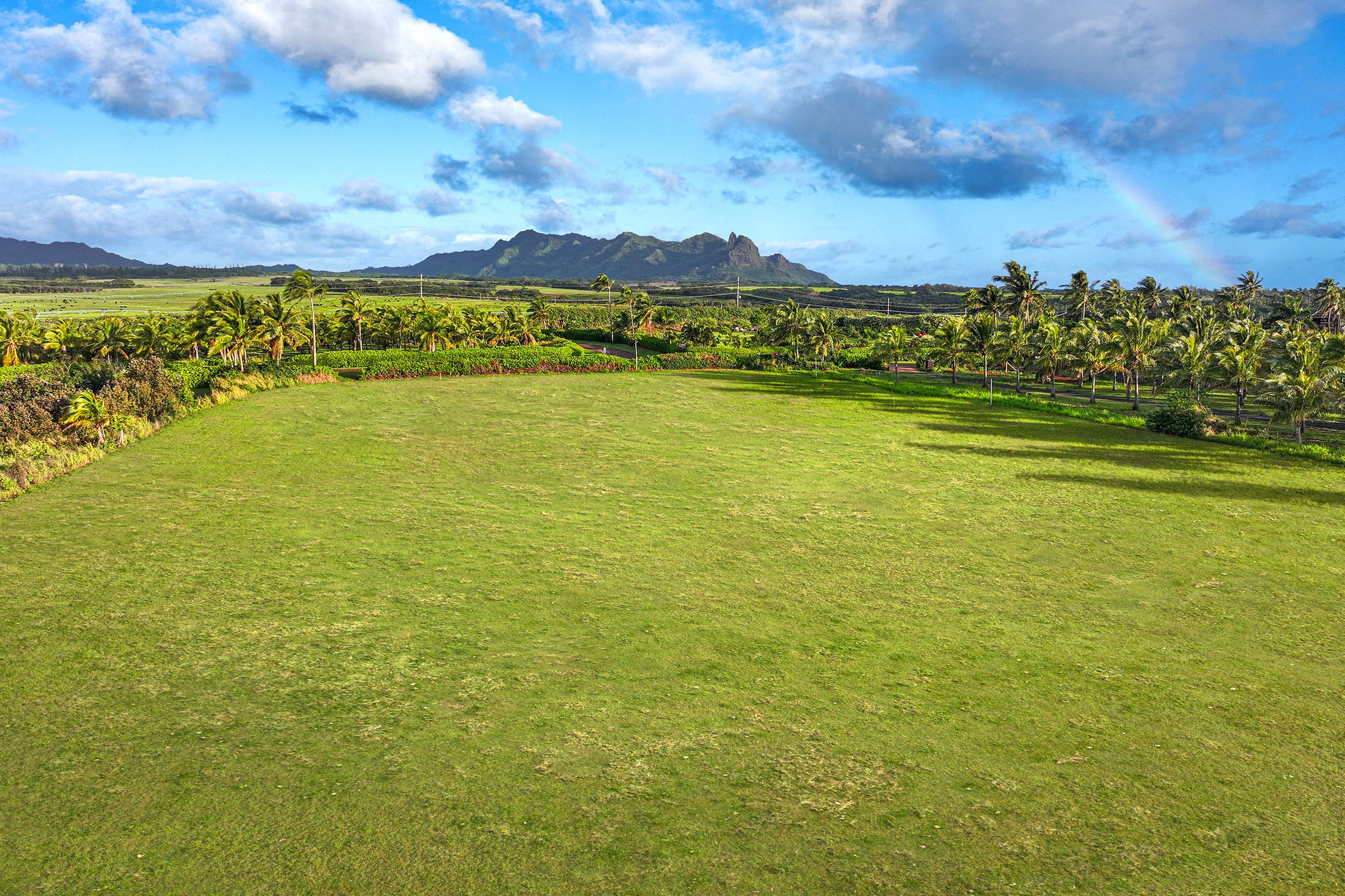 10 0 Kapoli St, Kealia, HI 96746 Concierge Auction Luxury Real Estate