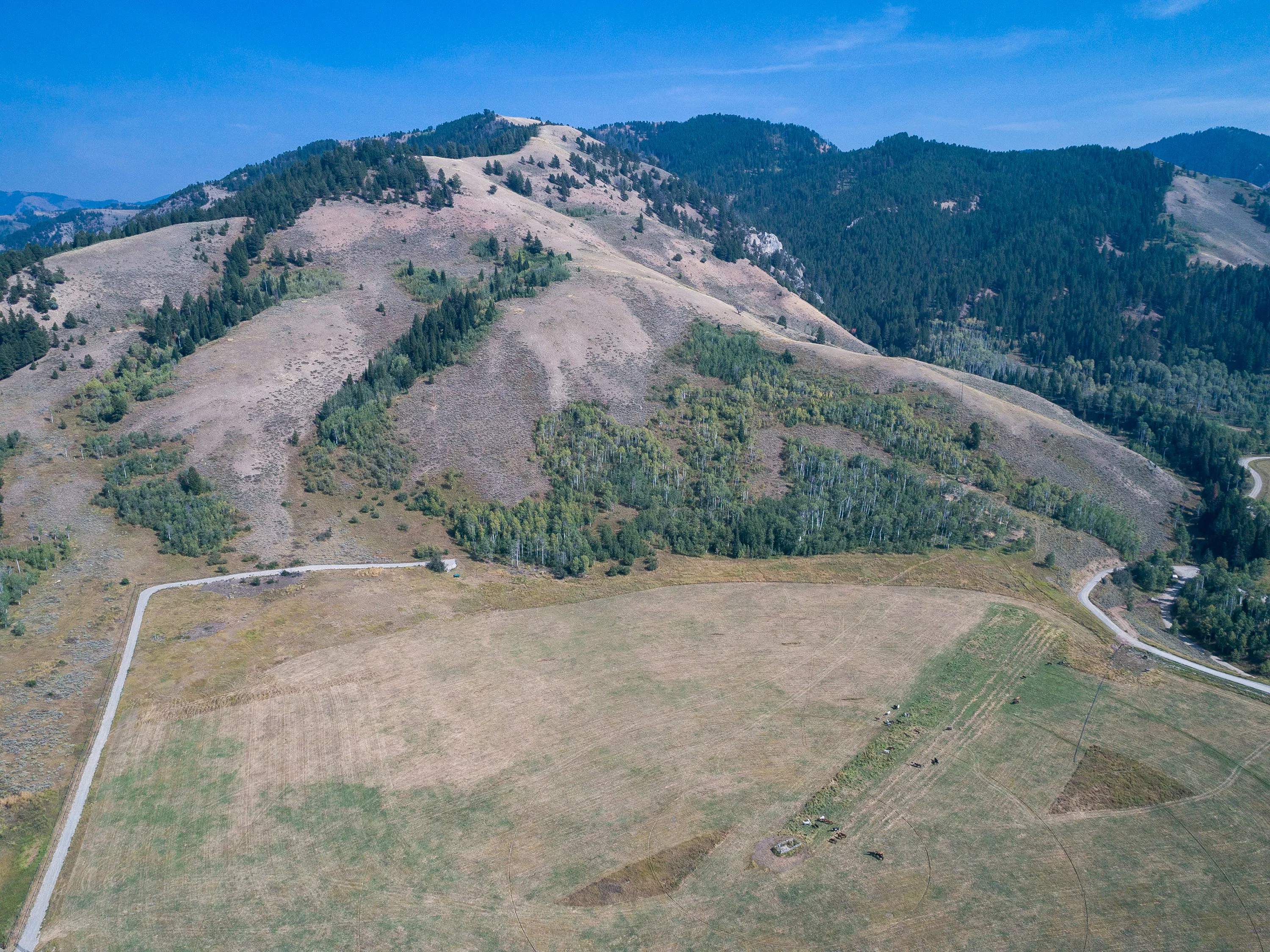 985 Elk Ridge Road, Jackson Hole, Wyoming  - 985_Elk_Ridge_Road_07_brxfvc