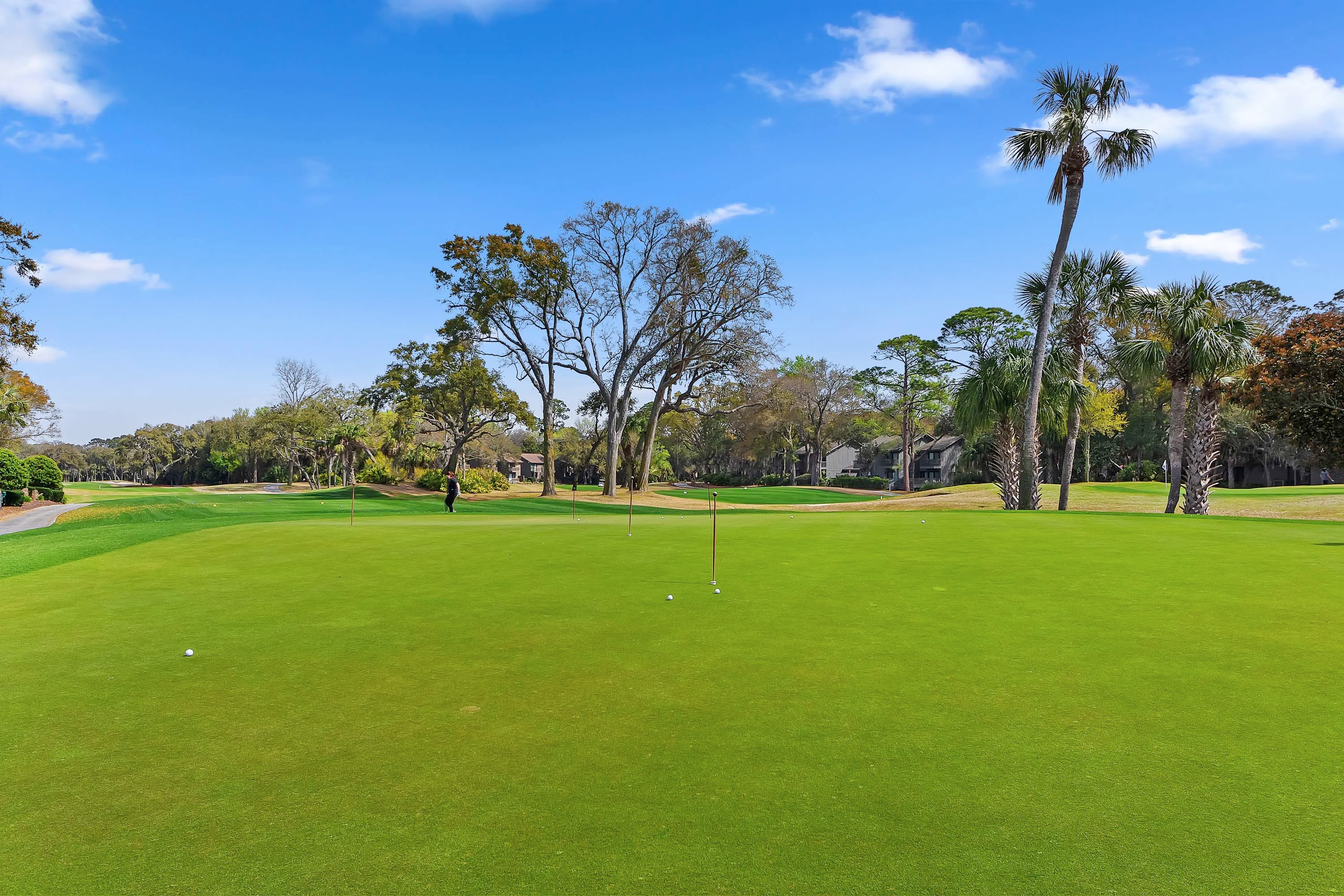 Palmetto Dunes | 25 Starboard Tack, Hilton Head Island, South Carolina 29928 - 51_-__L9A1501_njuzj6
