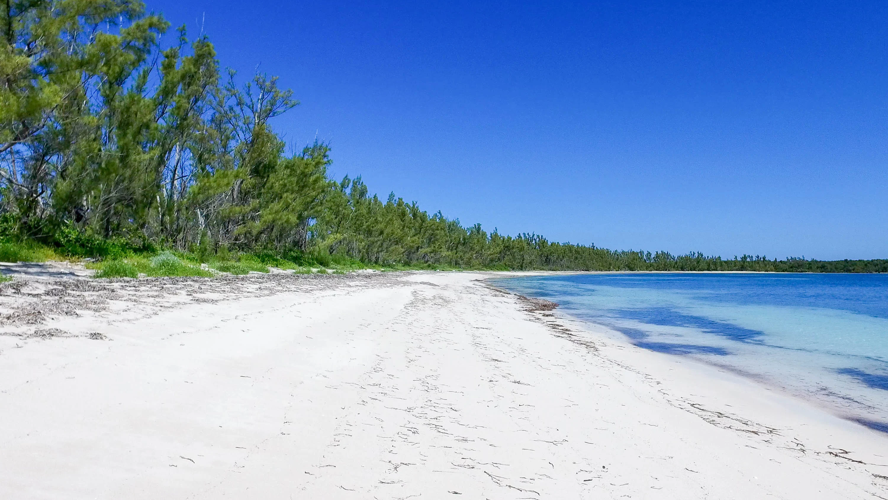 Powell Cay, Powell Cay, Abacos, Abacos , Bahamas - powell-cay-abaco-islands-bahamas19_jlfe9p