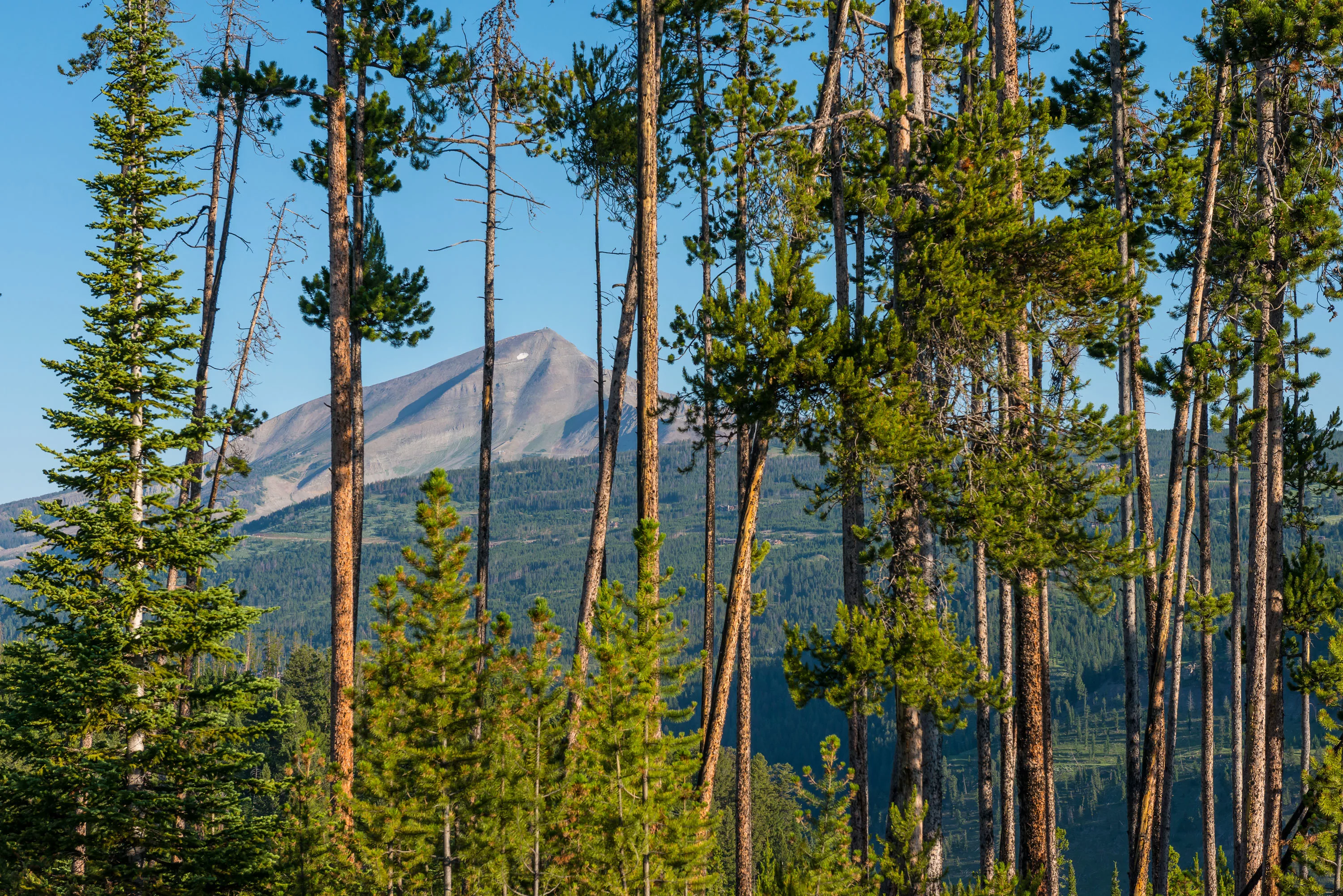 Yellowstone Preserve, Big Sky, Montana  - yellowstone-preserve-big-sky-mt-firehole_02_lieonp