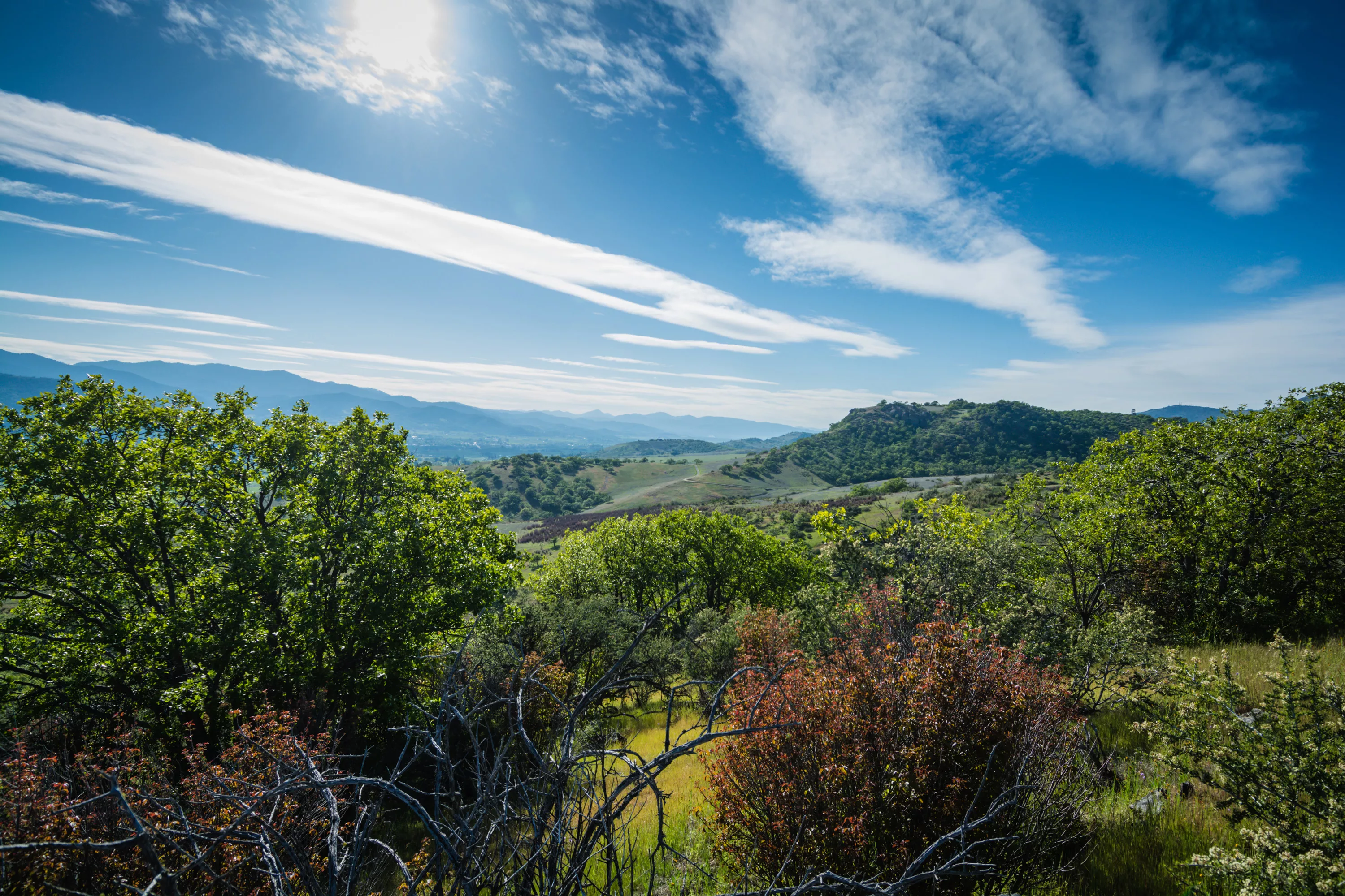 3300 Butler Creek Road, Ashland, Oregon 97520 - circle-of-teran-3300-butler-creek-rd-ashland-or-luxury-real-estate-23_ga8uql