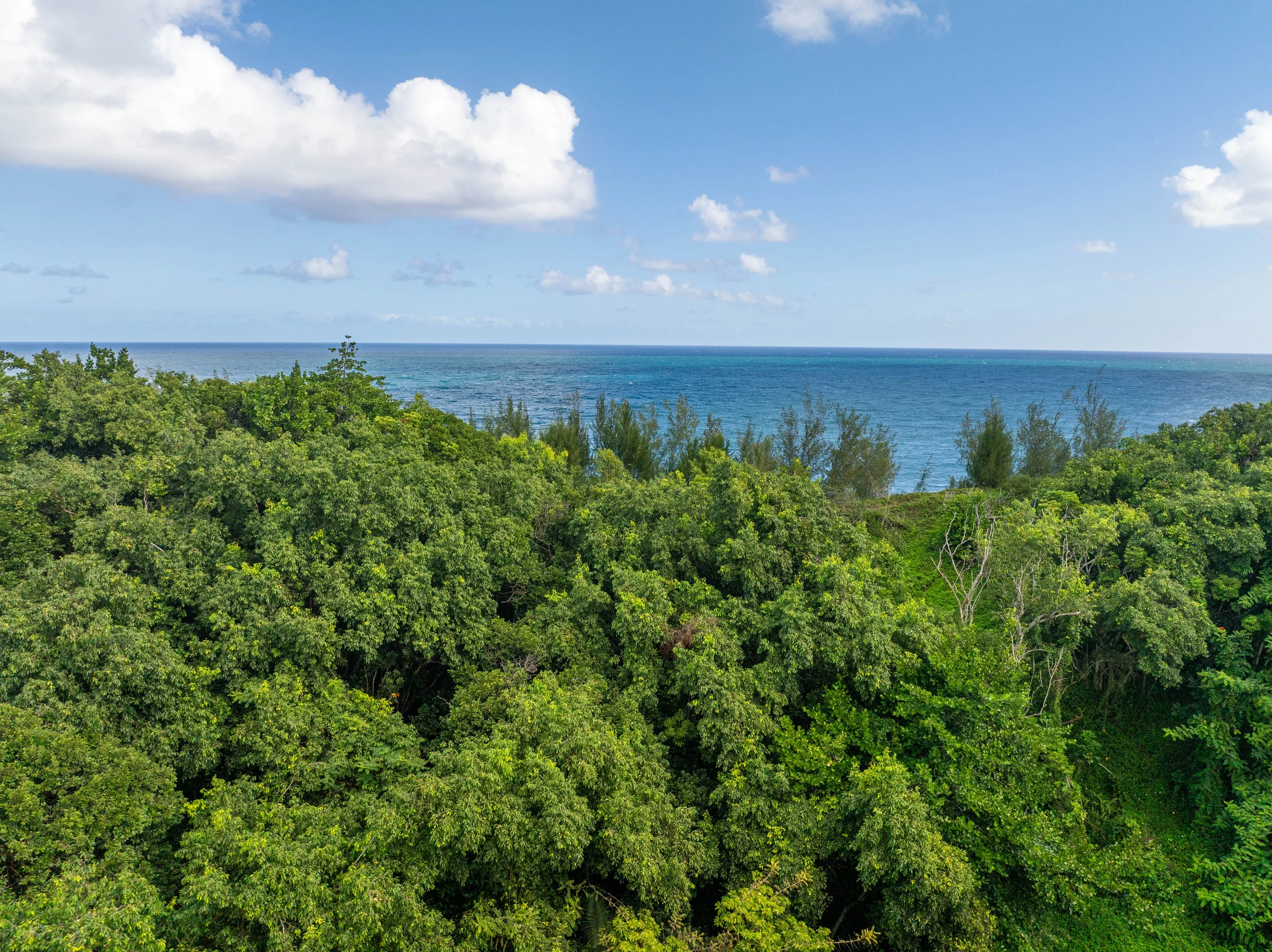 3 Kaui Road, Princeville, North Shore Kauai, Hawaii 96722 - 3_Kaui_Rd_12_dtvd3l