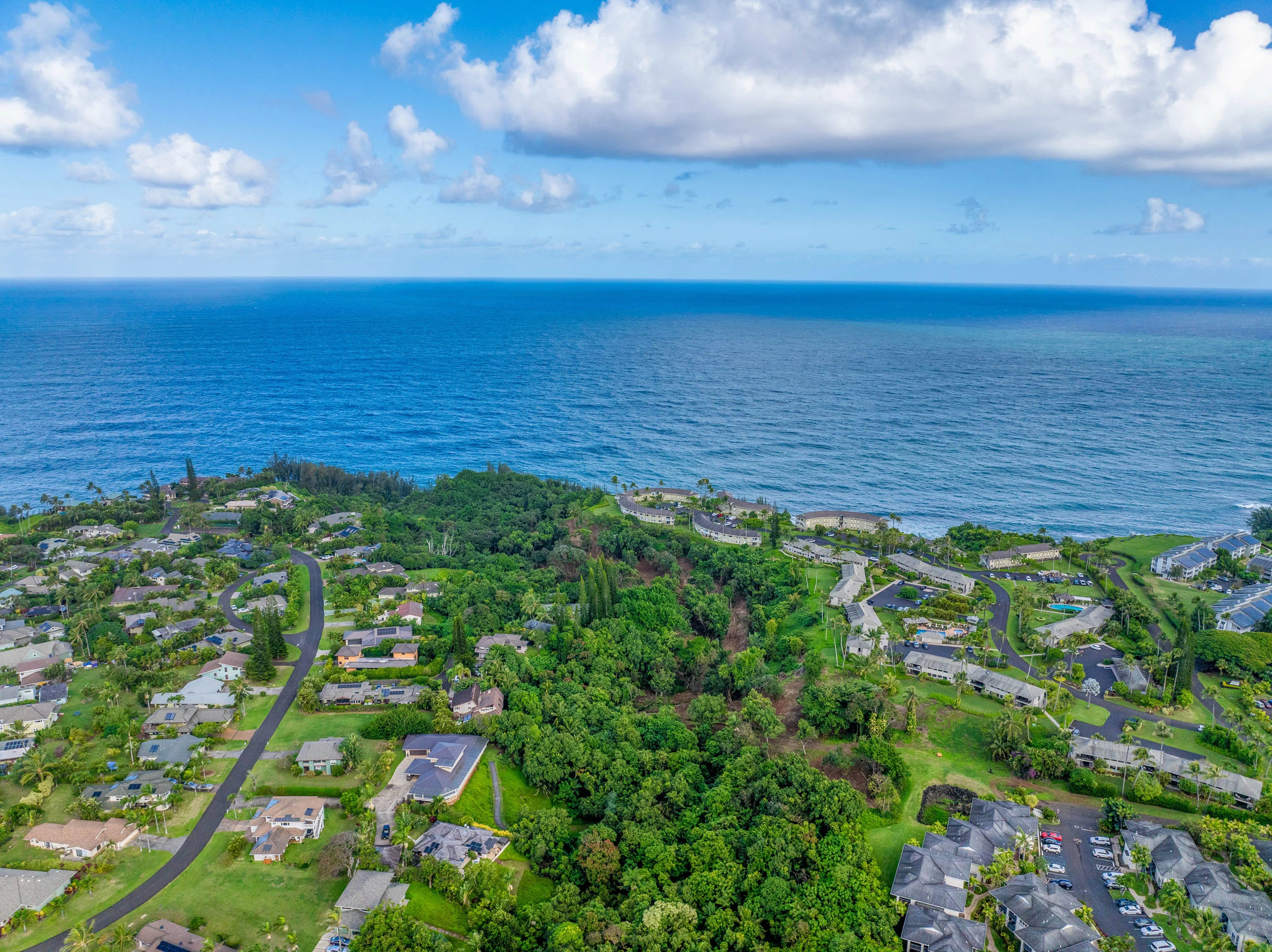 3 Kaui Road, Princeville, North Shore Kauai, Hawaii 96722 - 3_Kaui_Rd_08_jjrnjw