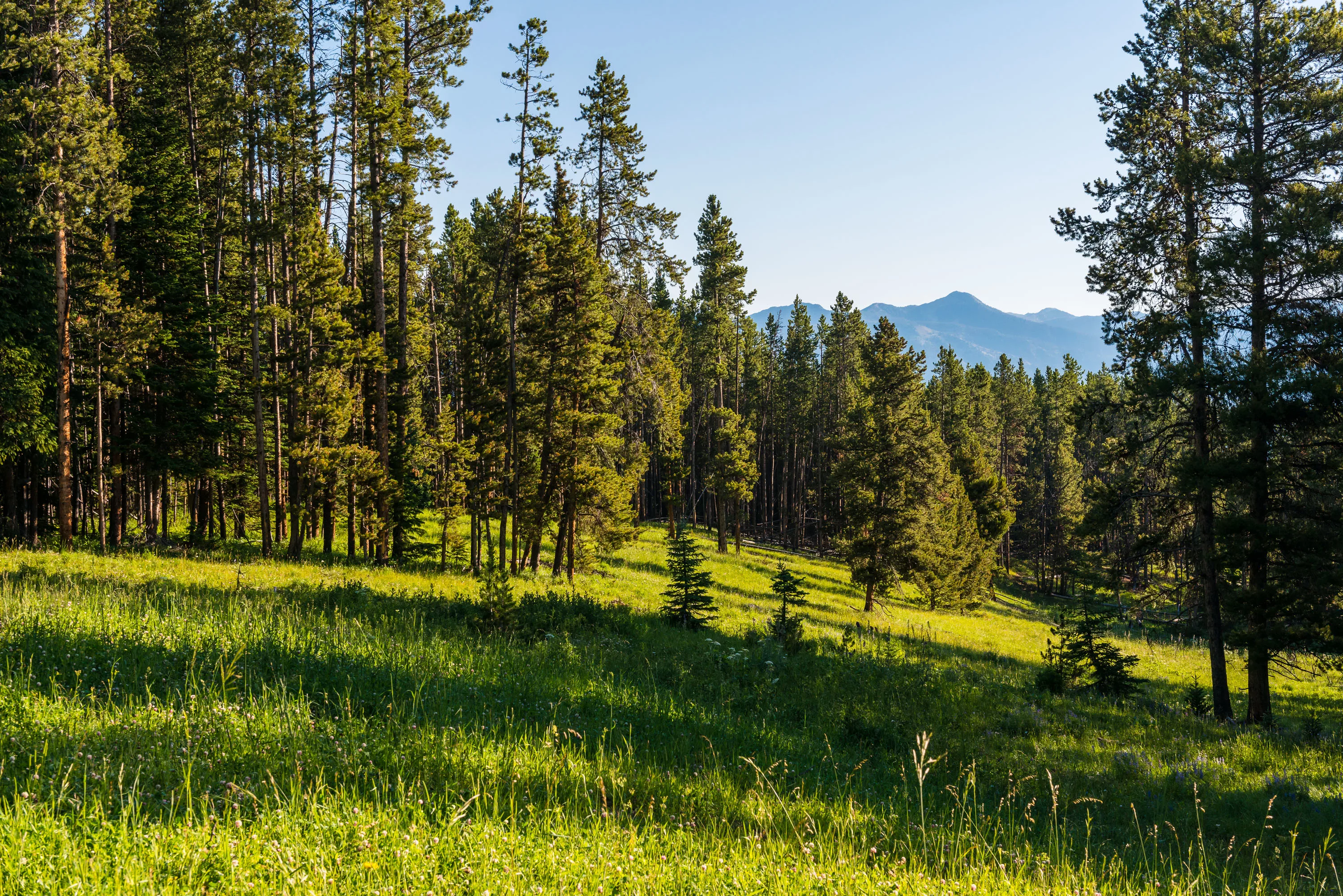 Yellowstone Preserve, Big Sky, Montana  - yellowstone-preserve-big-sky-mt-travertine_03_ikuwna