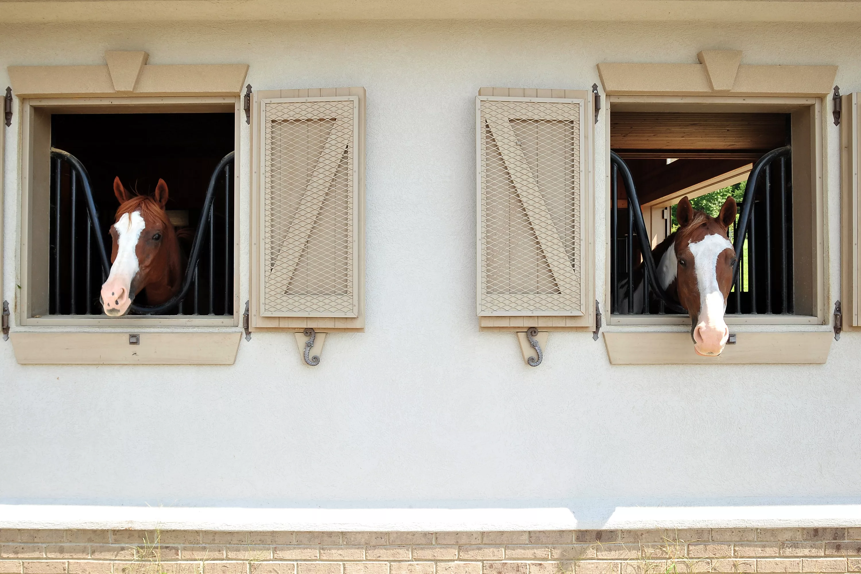 16308 Old Jonesboro Road, Bristol, Virginia 24202 - rolf-carlyle-equestrian-centre-bristol-va-luxury-real-estate-9_nswhkx