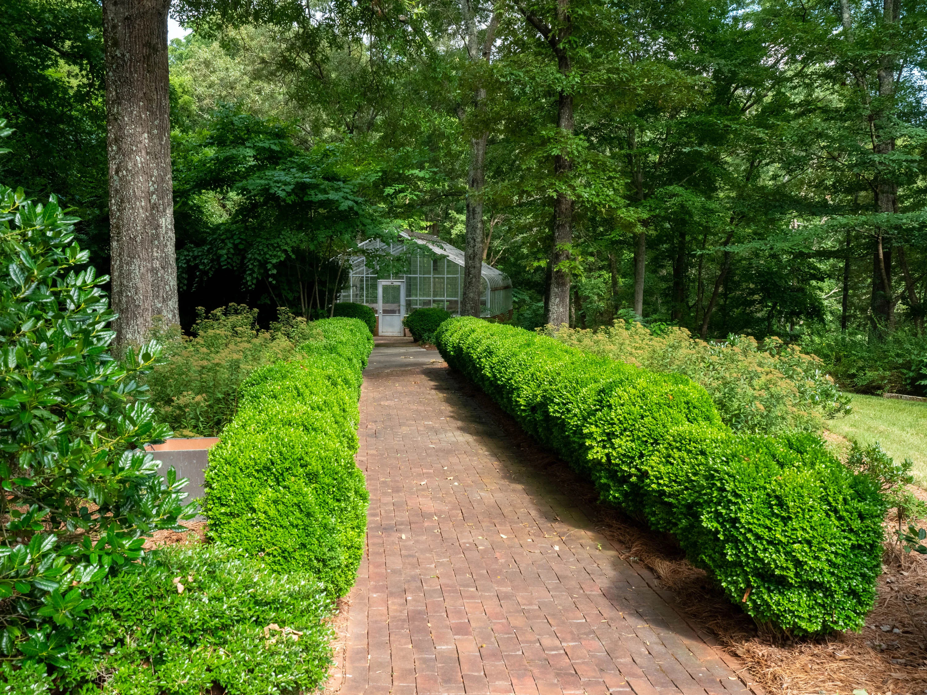1011 Thunderwood Farm Lane, Lewisville, North Carolina 27023 - 1011-thunderwood-farm-lane-lewisville-north-carolina-31_xwfq6l