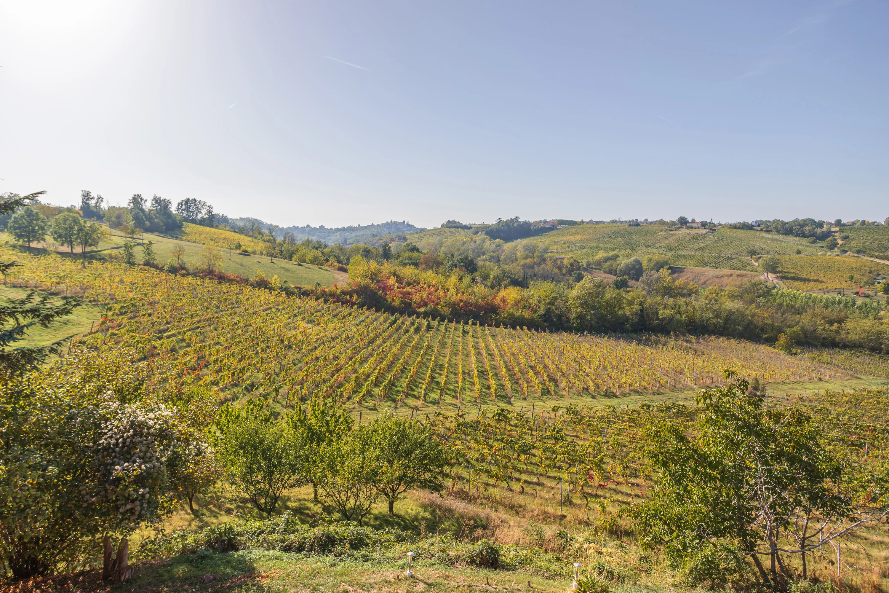 1 Cascina Palazzo, Alto Monferrato, Piedmont , Italy - 1-Cascina-Palazzo-Grimaldi-33_togfng