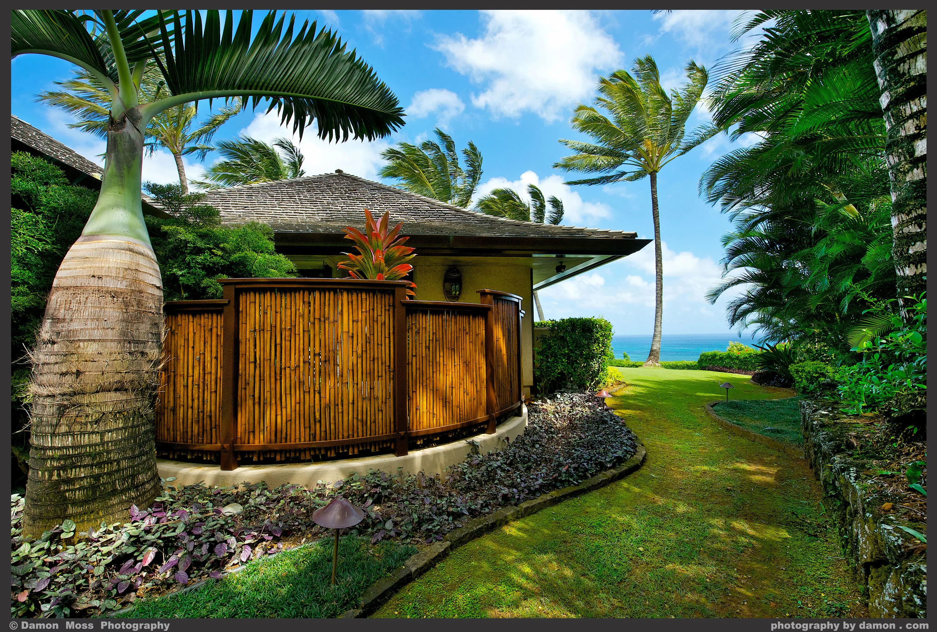 4201 Anini Vista Drive, Kilauea, Hawaii 96754 - rkphousesidepathbamboo6916ret_dm_hl2eiu