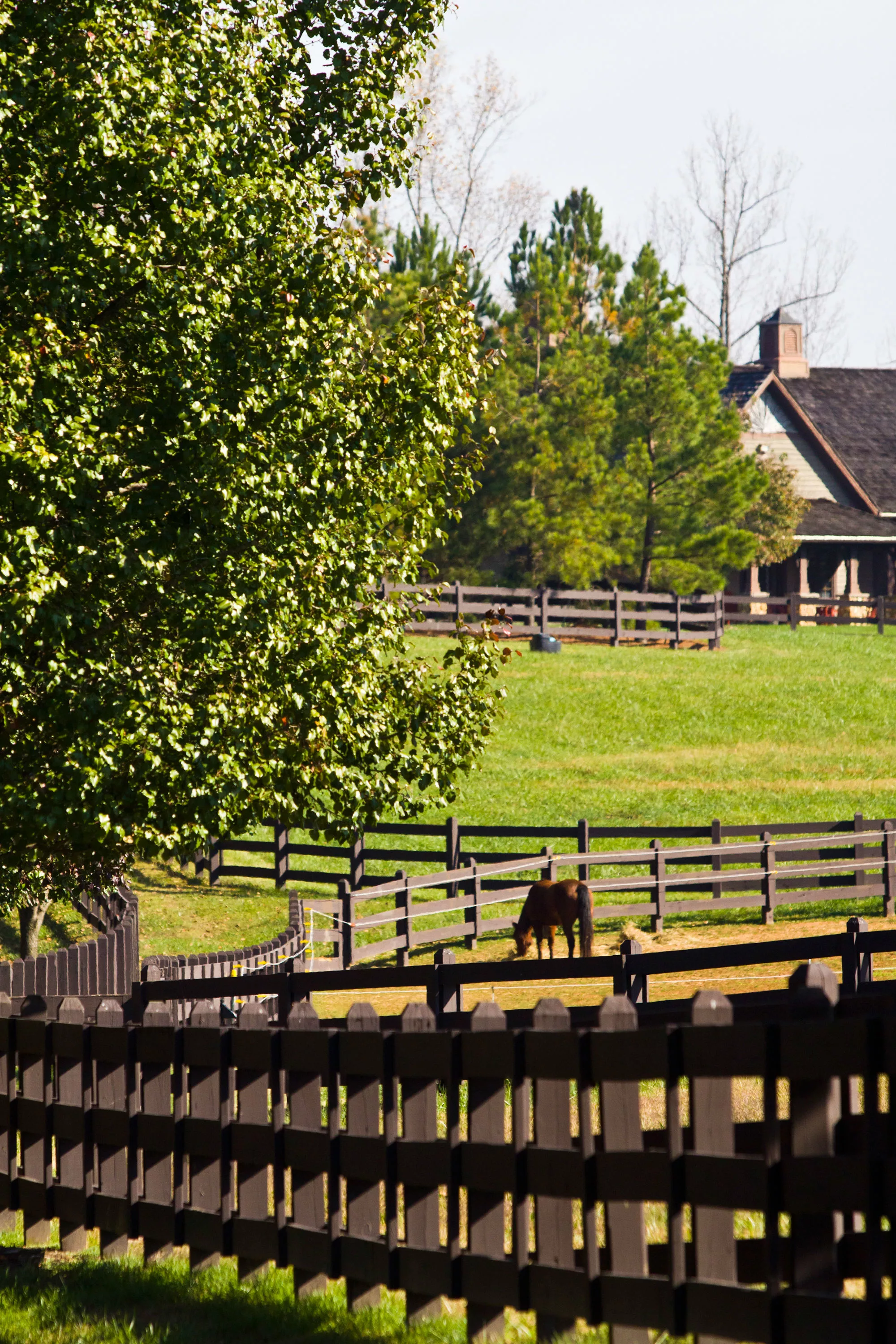 196 Old Stagecoach Lane, Statesville, North Carolina 28625 - img_5428-copy_glwke3