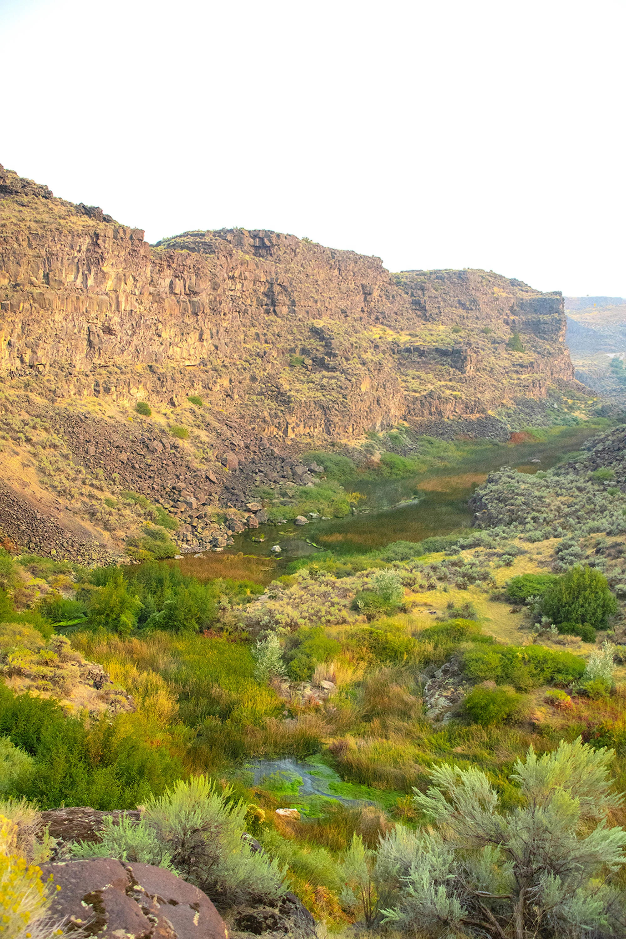 Devil's Corral, Snake River, Idaho 83338 - devils-corral-jerome-idaho15_m39dni