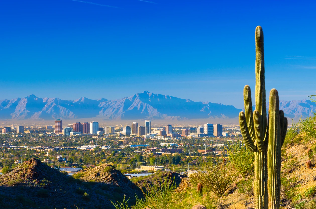 Phoenix Arizona Stock