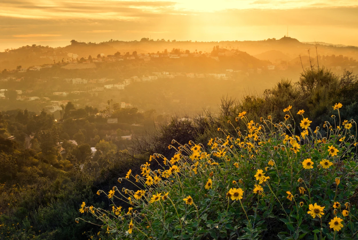 Mulholland Drive stock photo