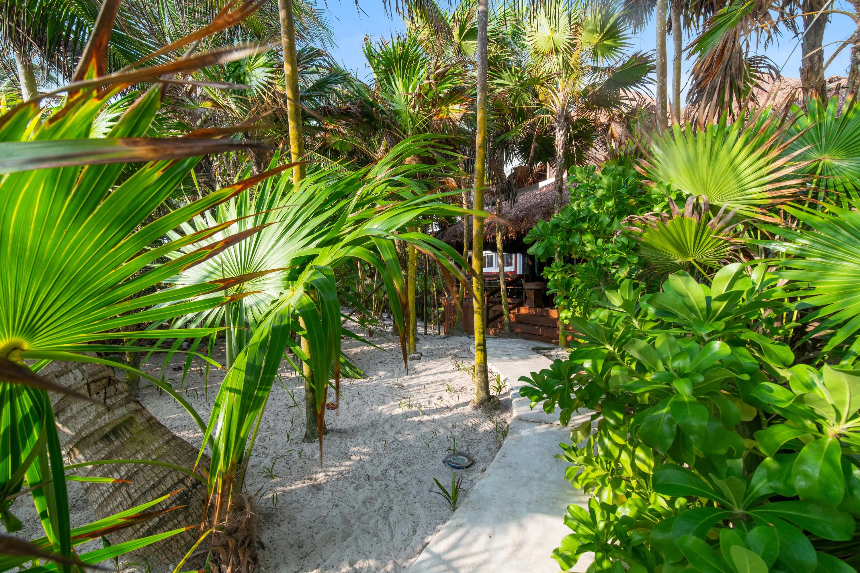 Casa Godi, Sian Ka'an, Tulum, Quintana Roo 77766, Mexico - 32_-_Consierge_CasaGodi_HighRes_0011_ifg2jq