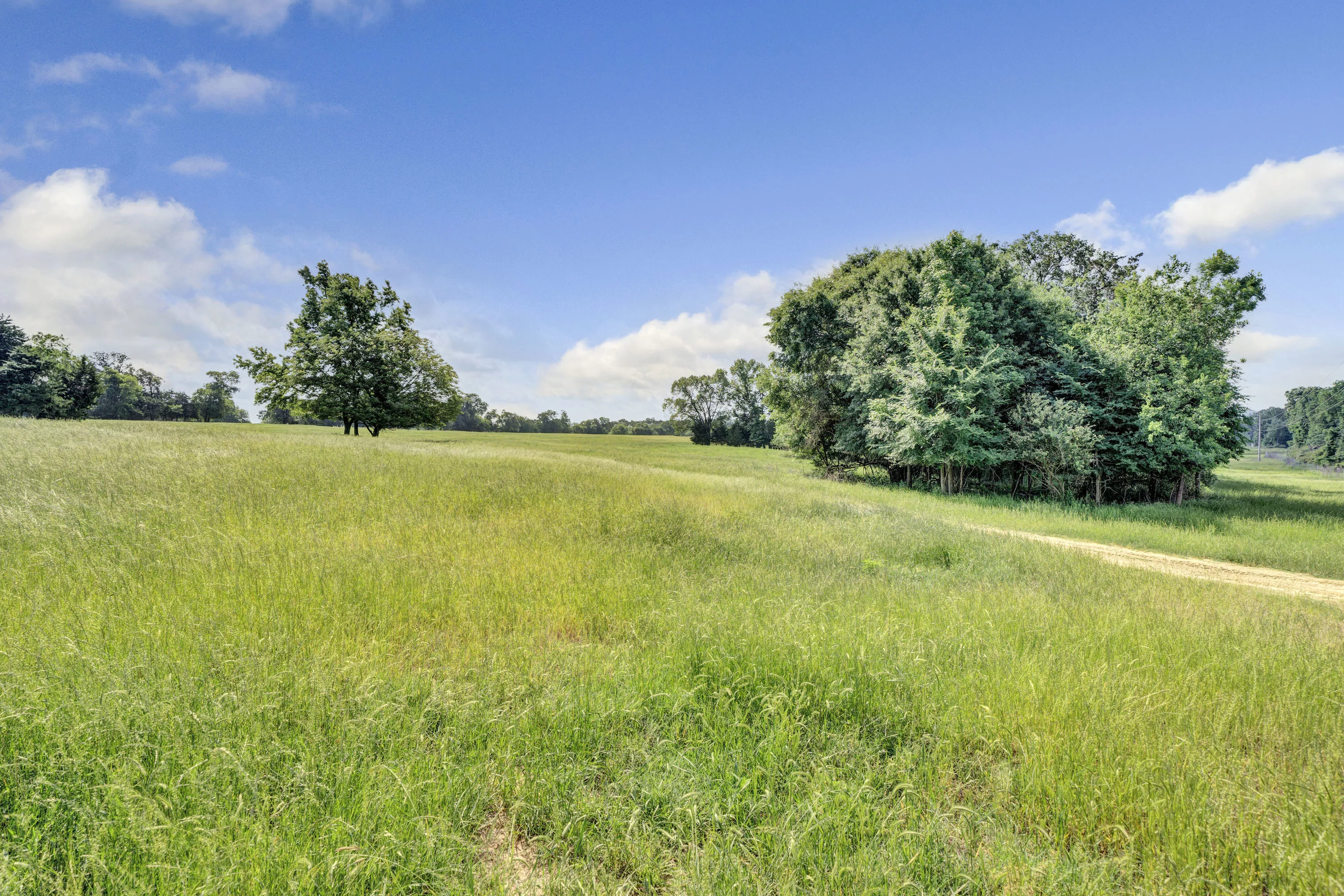 877 SW CR 3250, Dallas Area, Texas 75494 - ford-family-ranch-winnsboro-texas39_i1e5m3