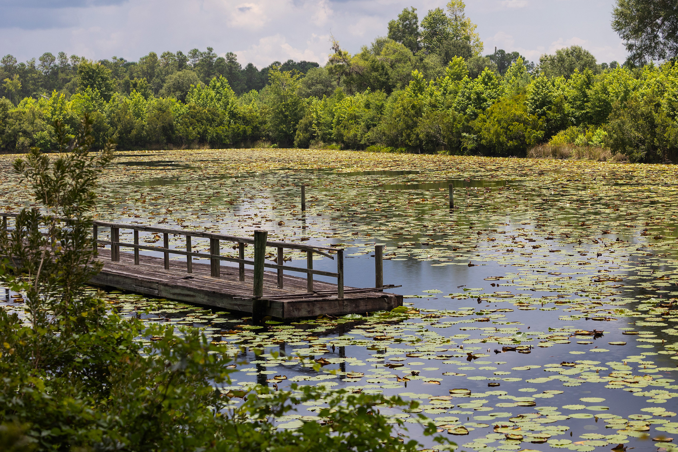 65 Hampton Island - 1300 Retreat Road, Riceboro, GA 31323 - Luxury Real Estate - Concierge Auctions