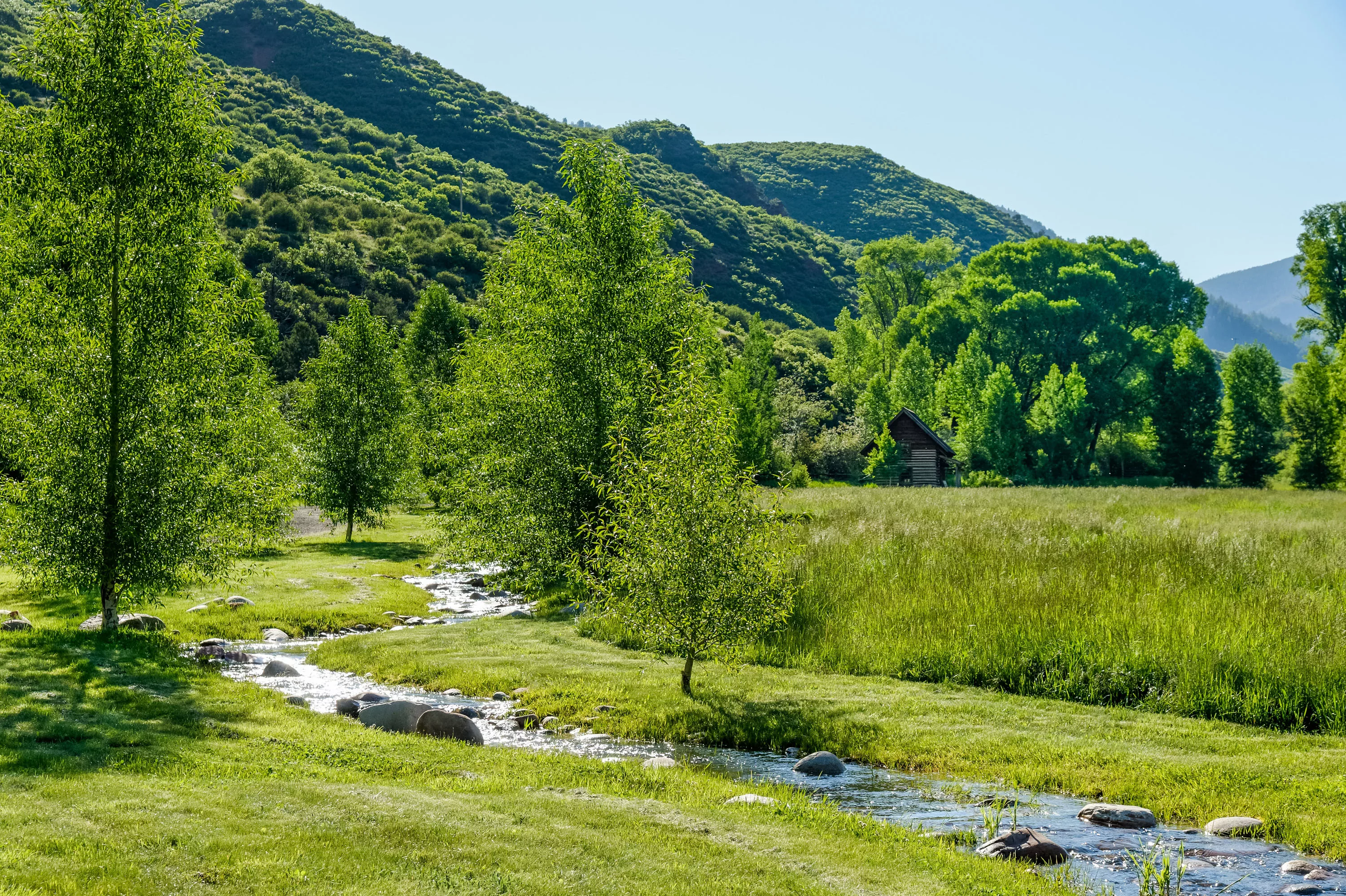 3448 Woody Creek Road, Aspen, Colorado 81656 - aspen_31_yuji6b