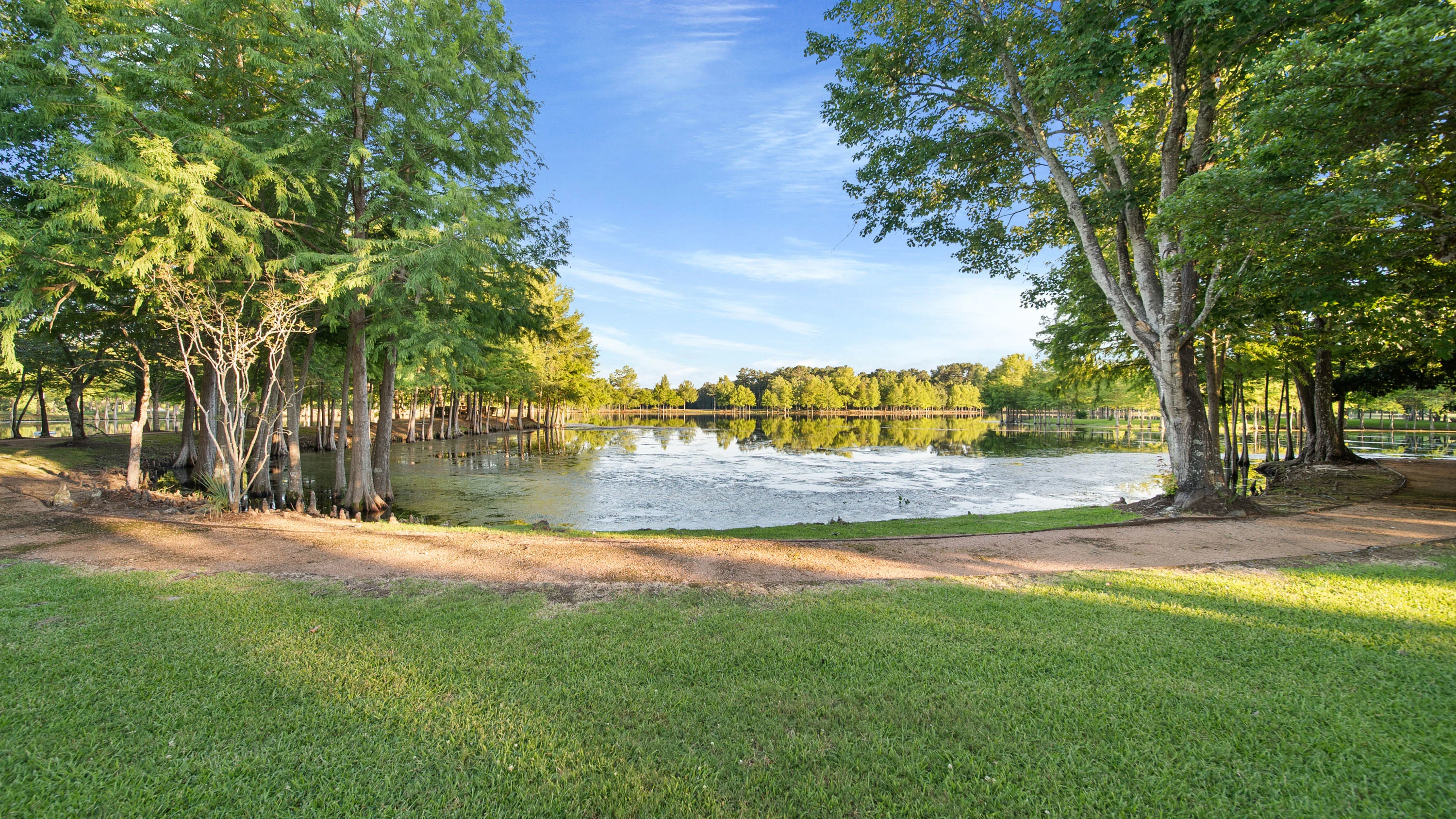 37307 Diamond Oaks Drive, Magnolia, Near Houston, Texas 77355 - 37307_Diamond_Oaks_Dr_37_ds3b6b