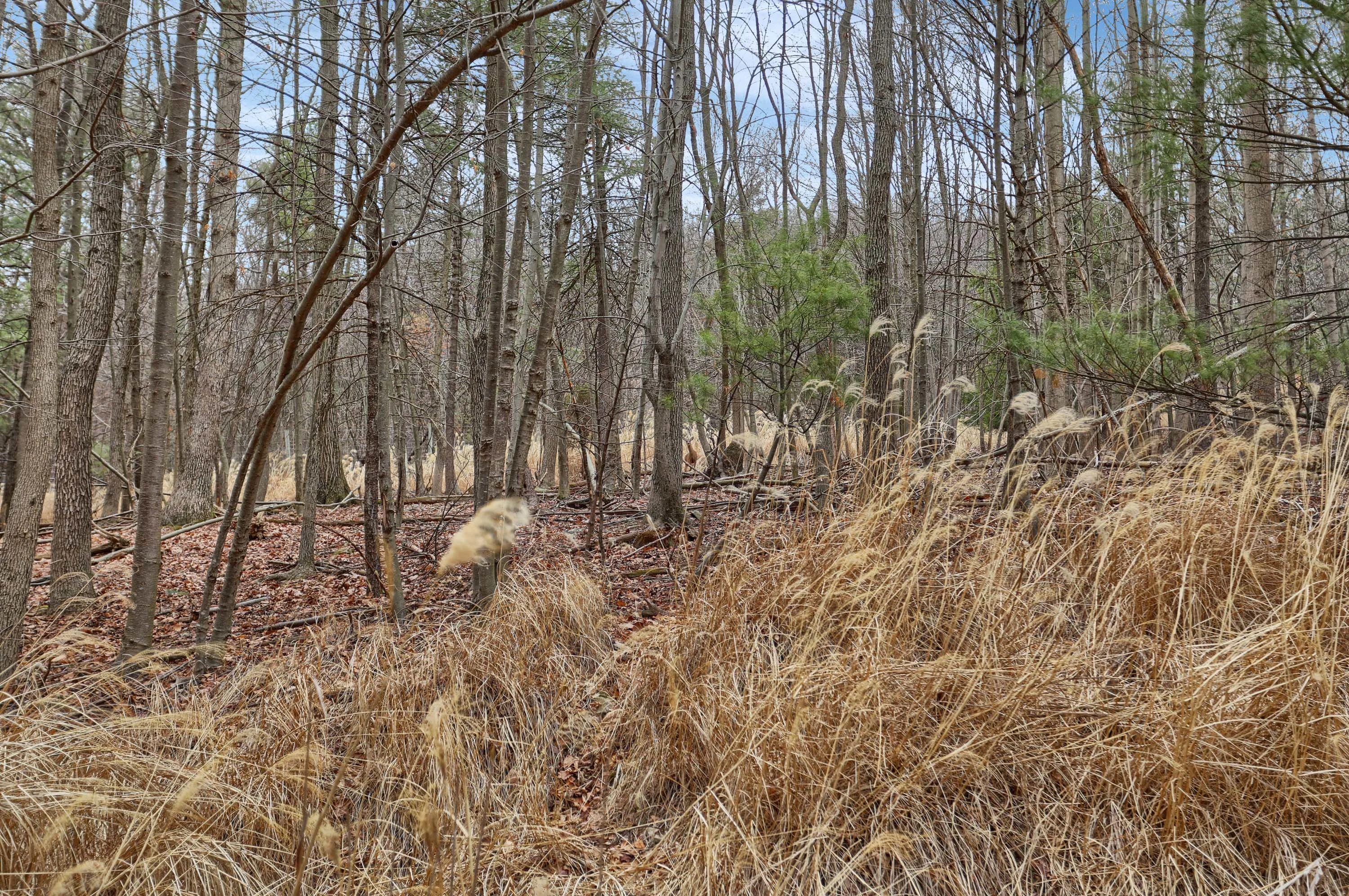 1981 Luxemburg Road, Lykens, Pennsylvania 17048 - 1981-luxemburg-road-lykens-pennsylvania37_ntdlgx