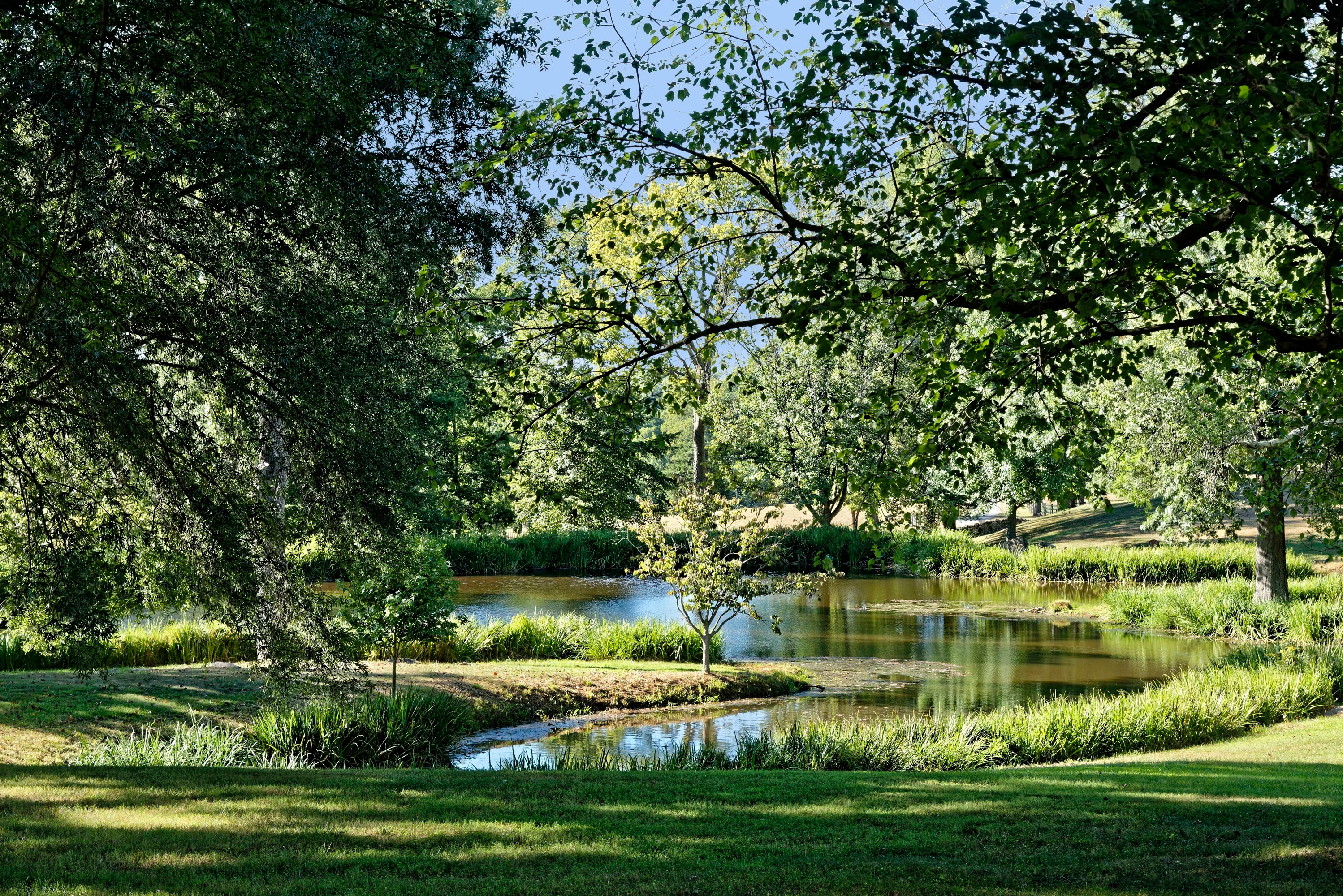 Oakendale Farm, 2227 Penny Lane, Middleburg Hunt Country, The Plains, Virginia 20198 - 2227_Penny_Lane_41_tmbltd