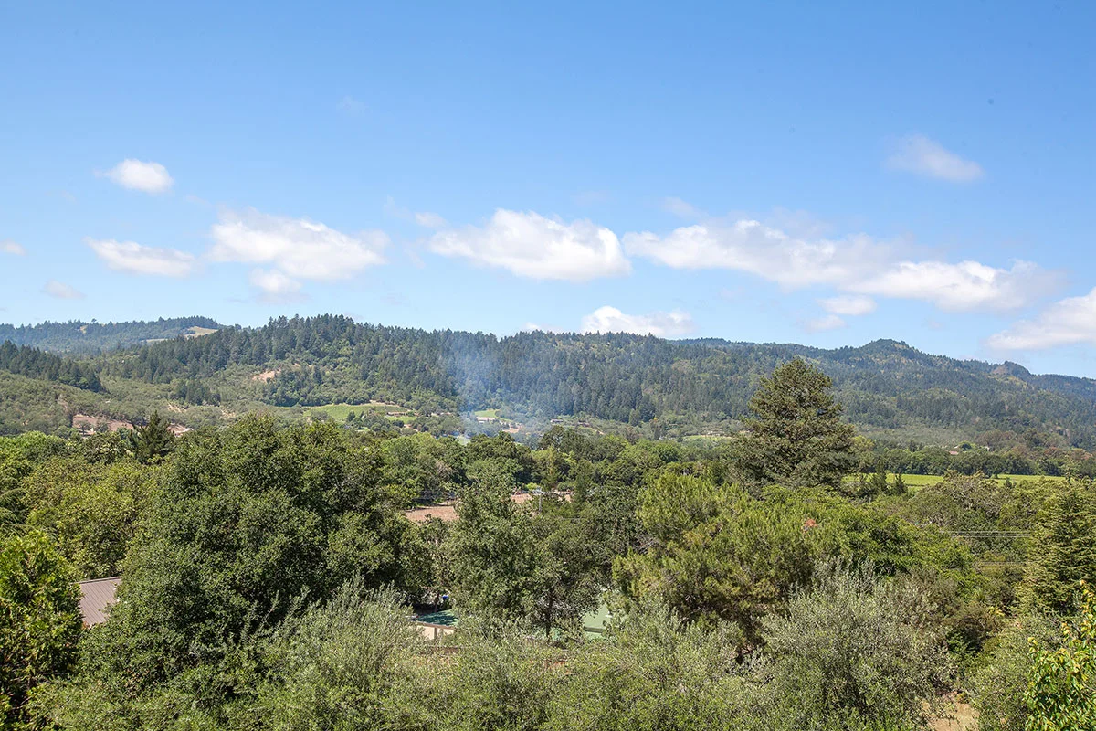 2618 & 2620 Silverado Trail North, Saint Helena, California 94574 - St-Hel-CA37_gonzcg