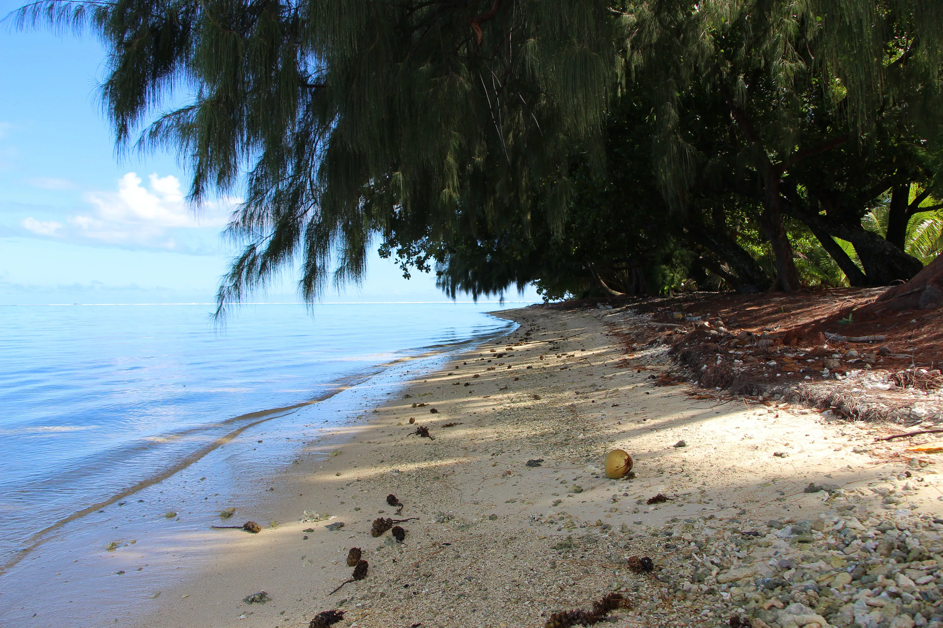 Motu Tiano, Tahiti,  , French Polynesia - motu_tiano_french_polynesia_24_klwgjd