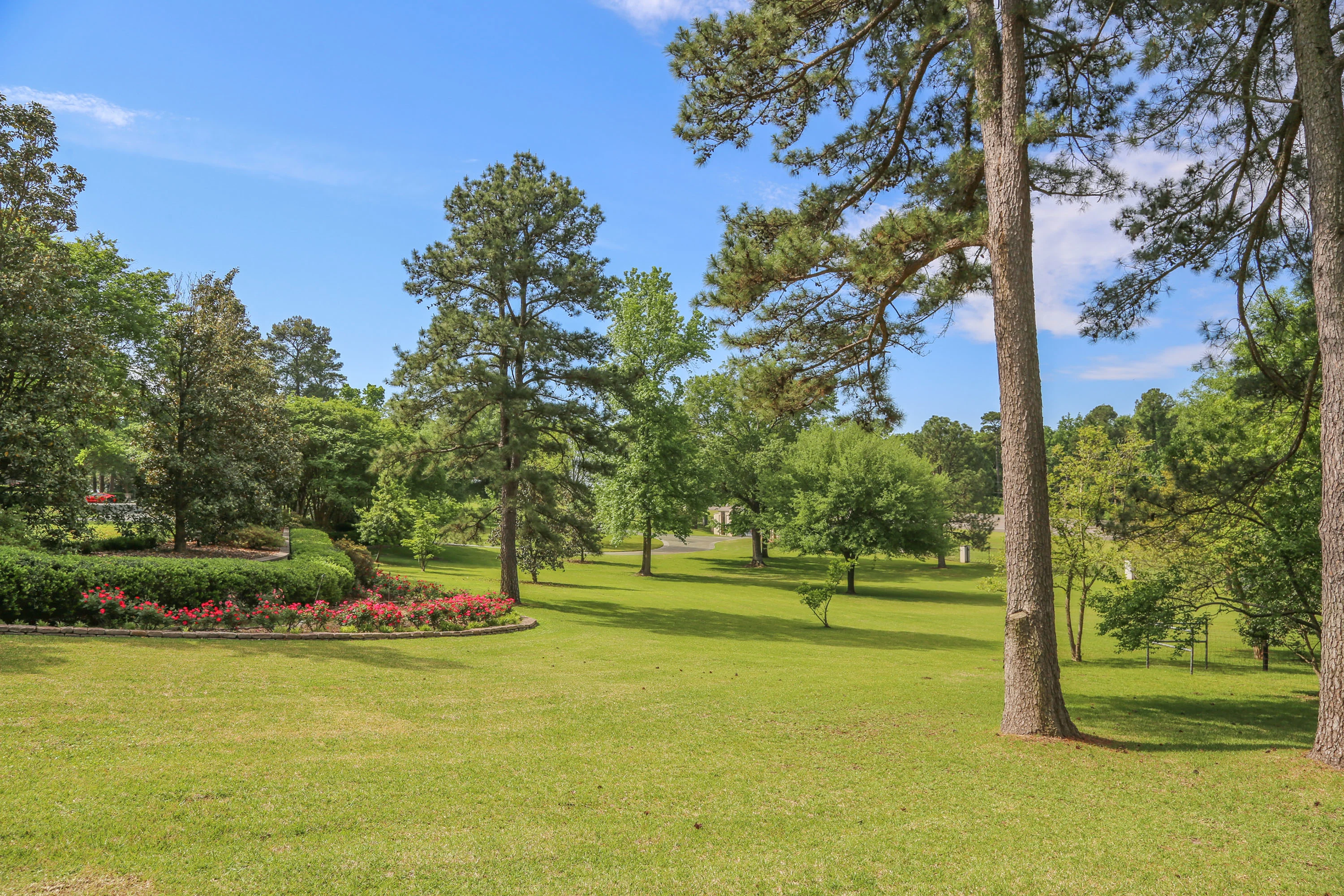 800 South Greer Boulevard, Pittsburg, East Texas, Texas 75686 - pilgrim-estate-800-s-greer-blvd-east-texas-61_pypfky
