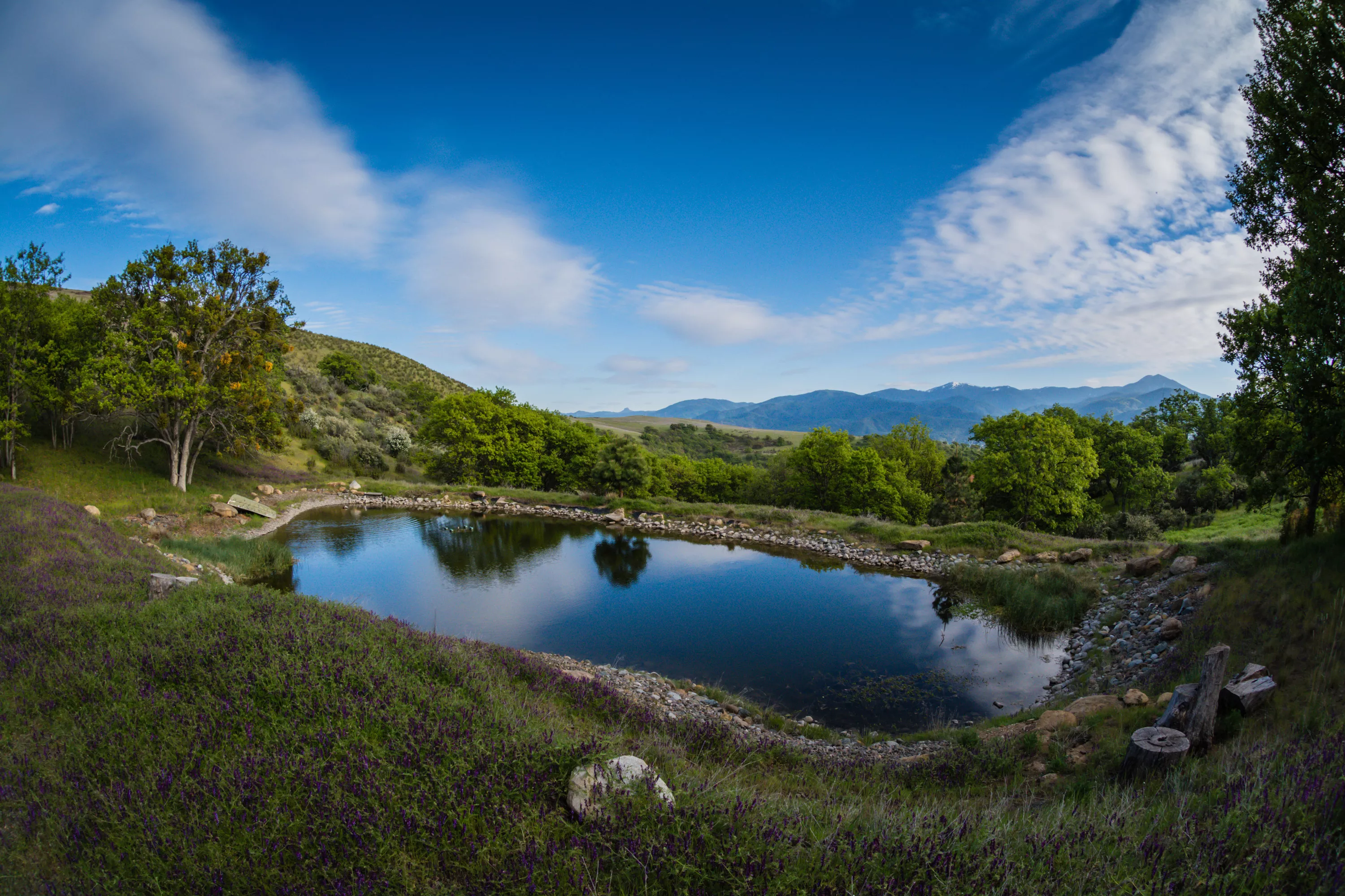 3300 Butler Creek Road, Ashland, Oregon 97520 - circle-of-teran-3300-butler-creek-rd-ashland-or-luxury-real-estate-24_srweby